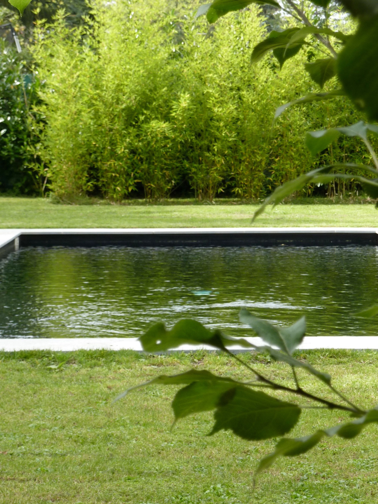 Piscine Conches — vue 2