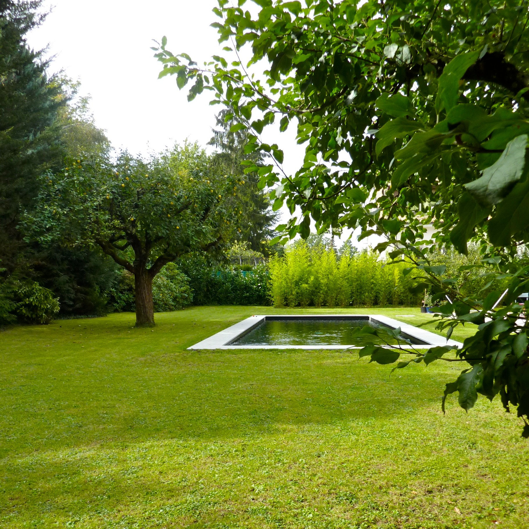 Piscine Conches — vue 3