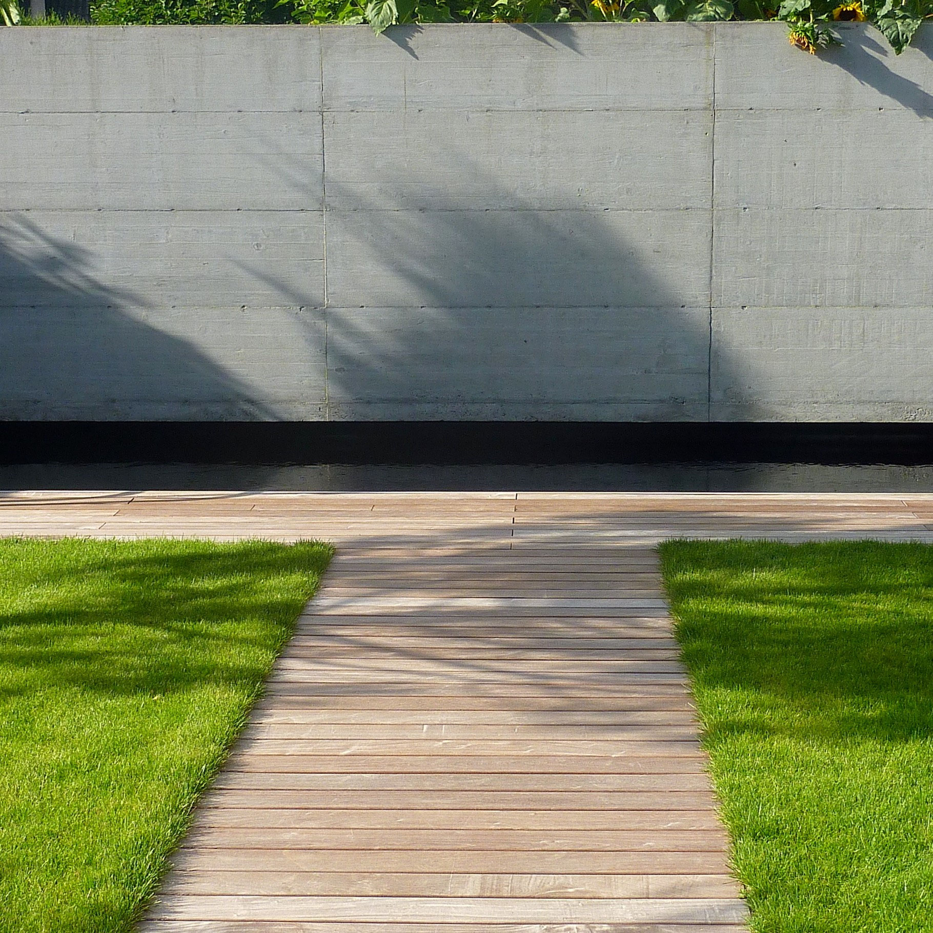 Piscine Thônex — vue 4