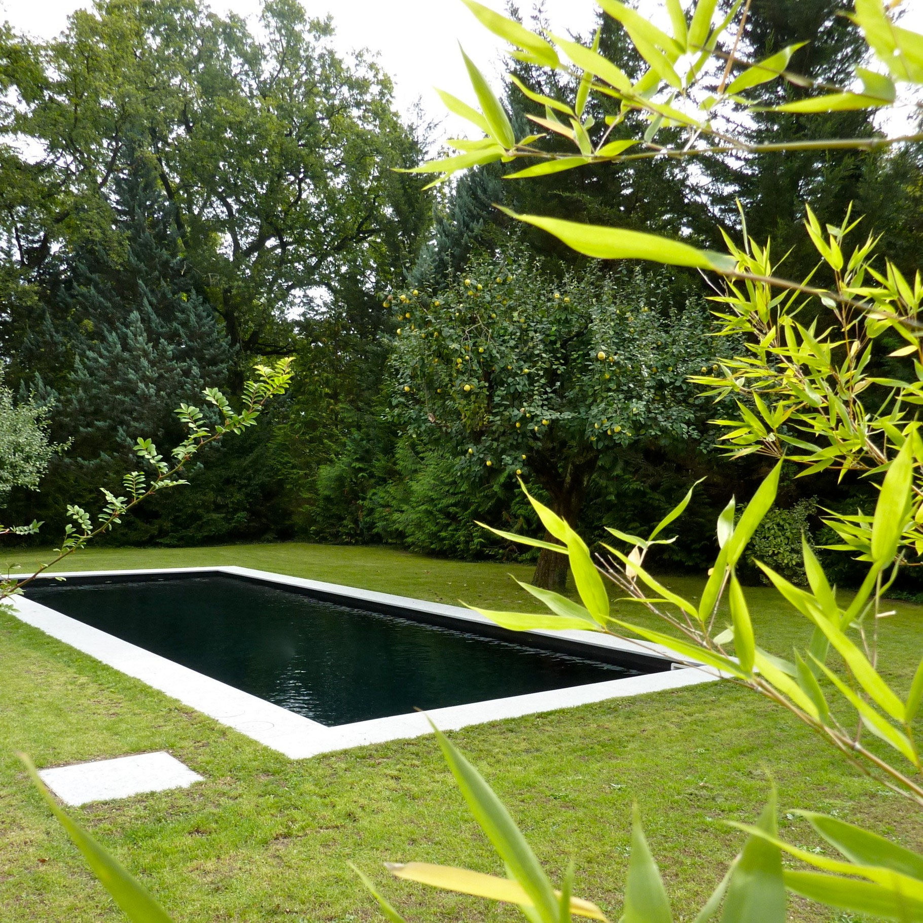 Piscine Conches — vue 5