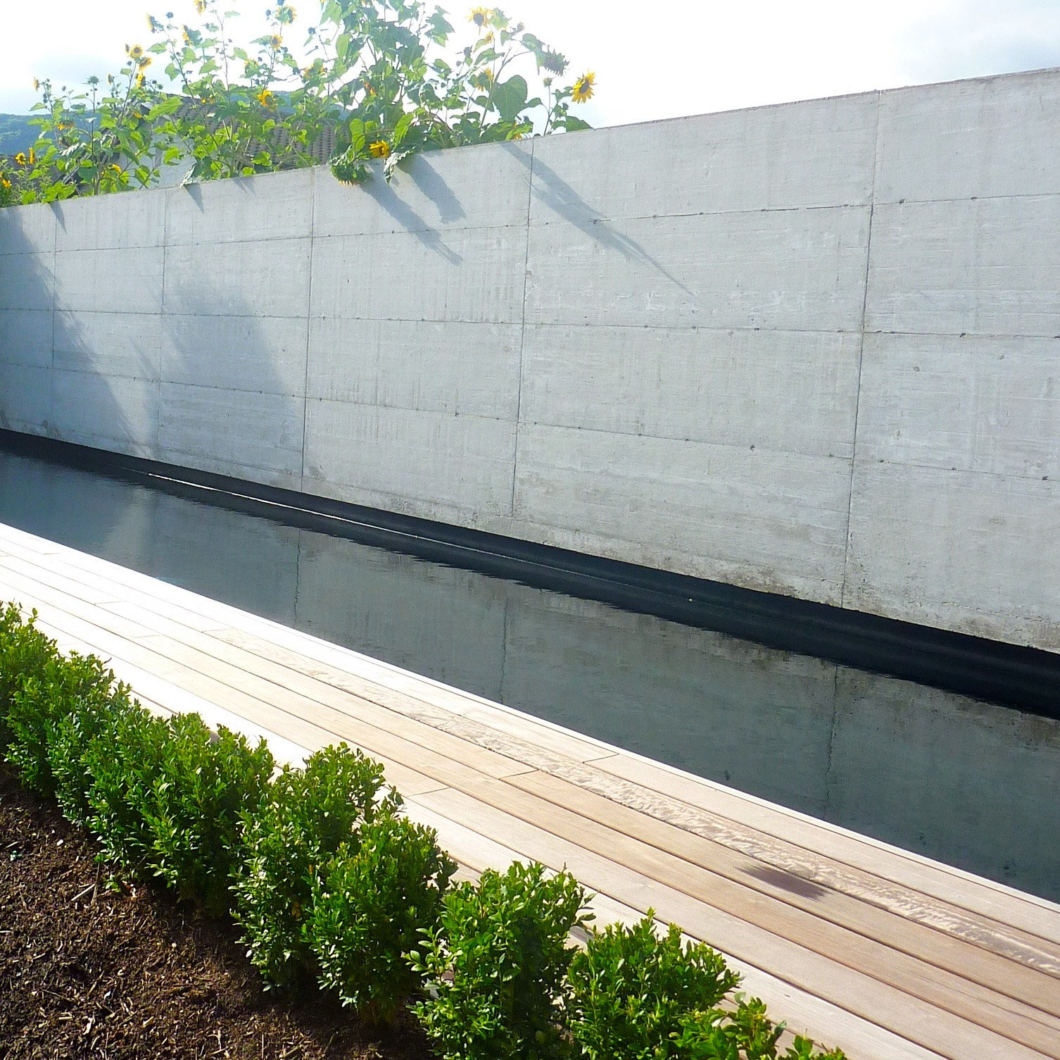 Piscine Thônex — vue 2