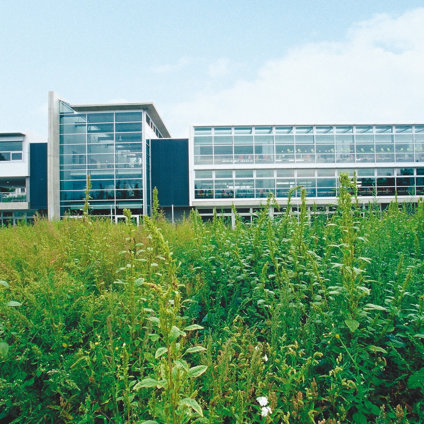 Bâtiment public Meyrin