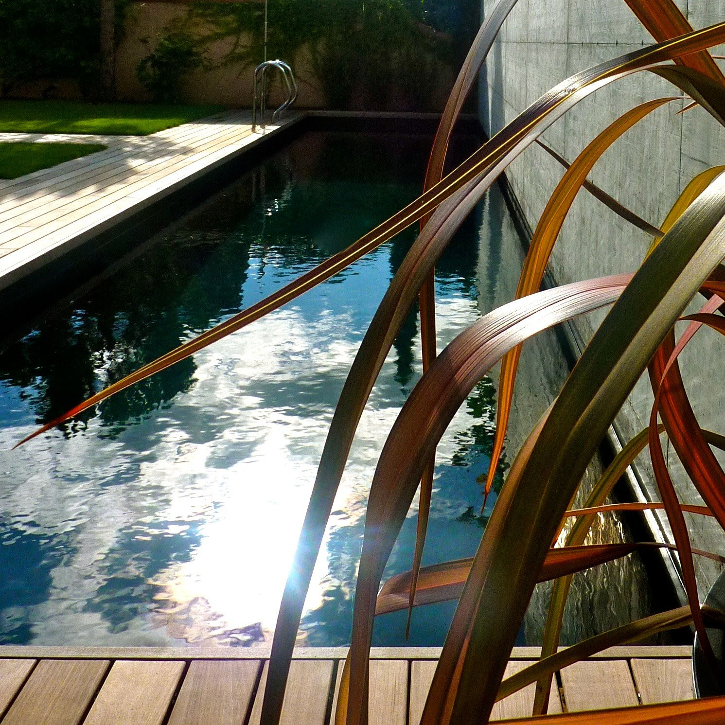 Piscine Thônex