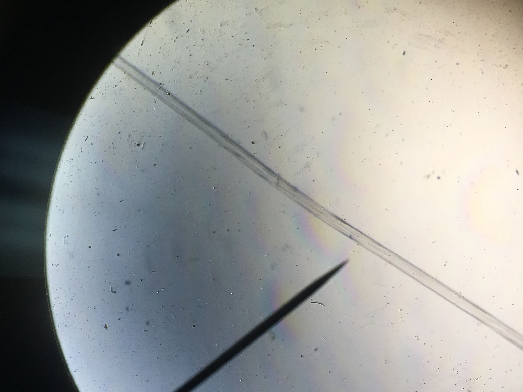 Fibre de Soie 1
