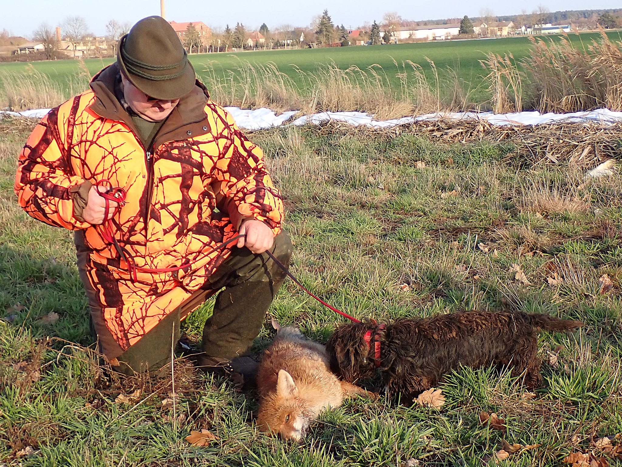 Fulda ist ein großartiger Jagdhund.