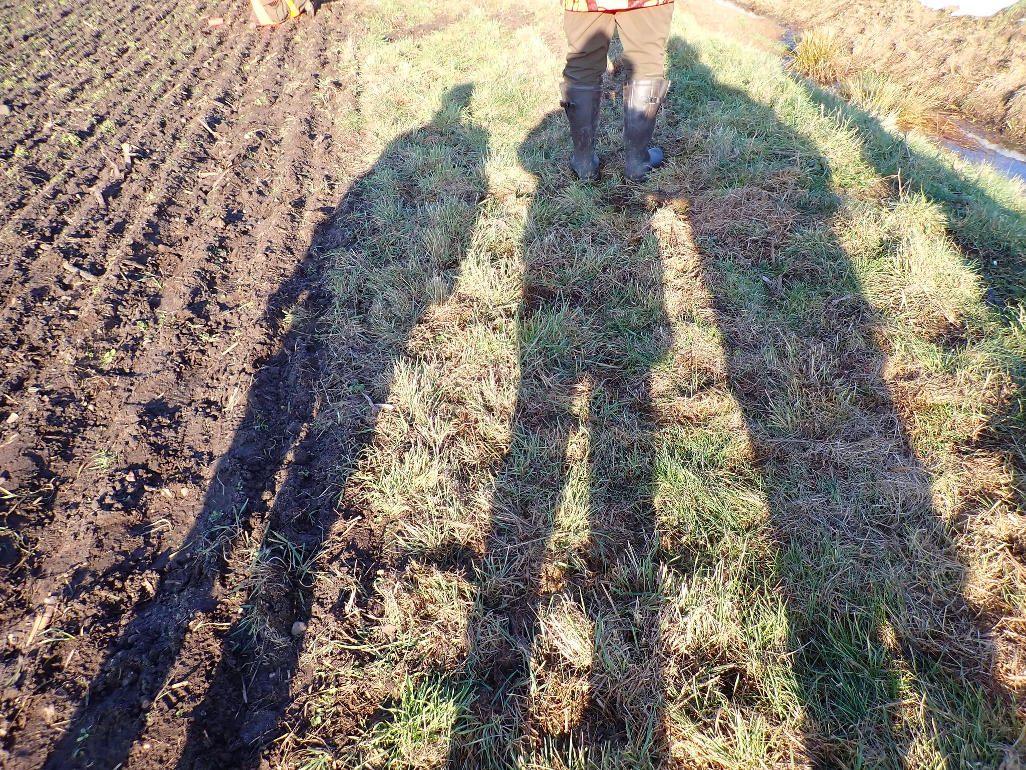 Die Sonne macht lange Schatten. Es ist kalt.
