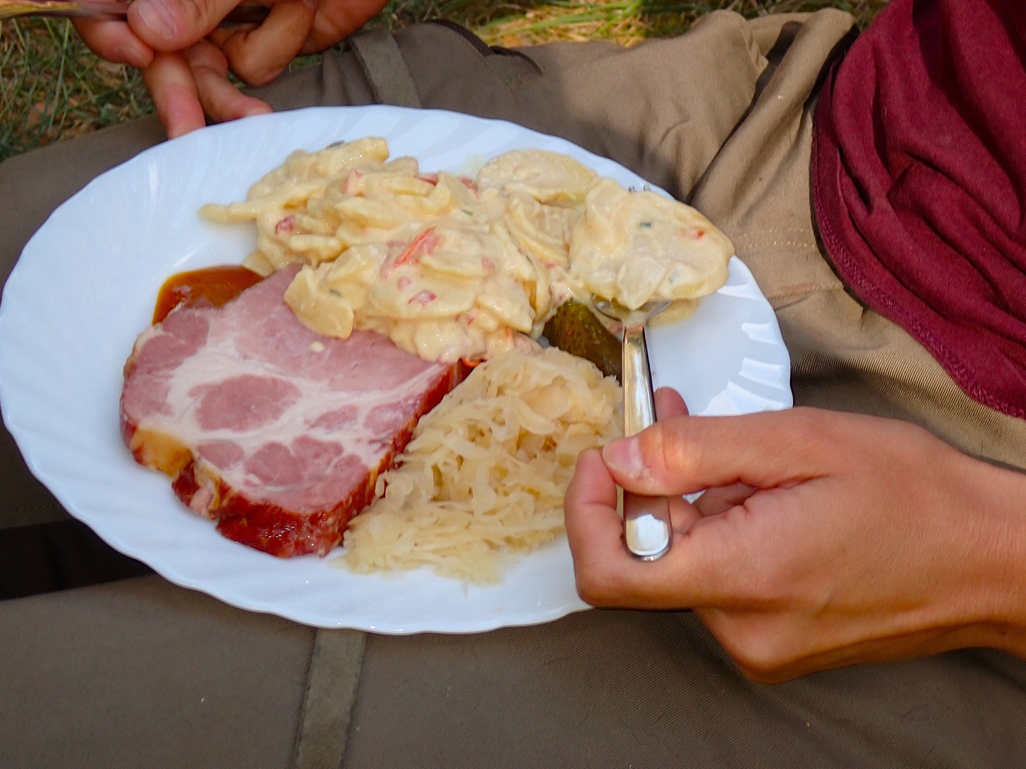 Kasslerkamm mit Kartoffelsalat und Sauerkraut.