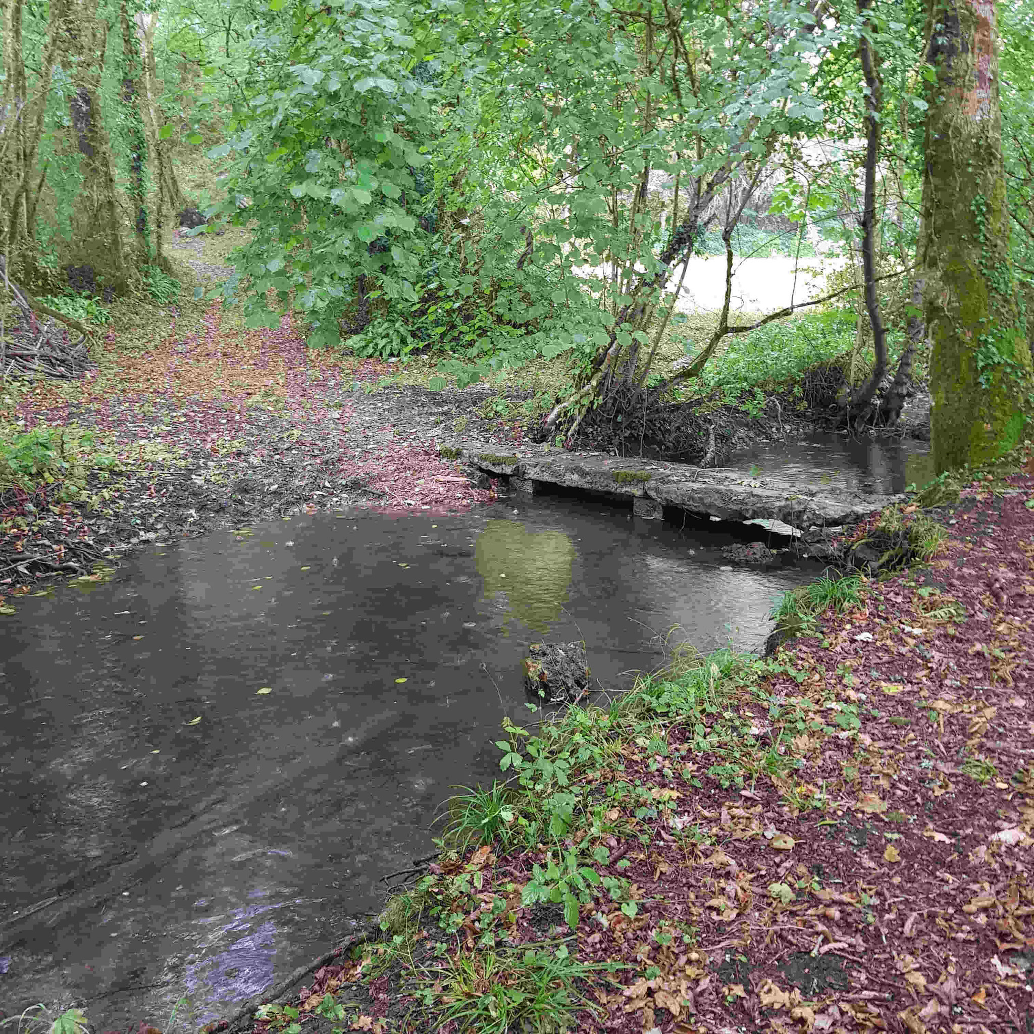 Un gué sur le Petit Crochet