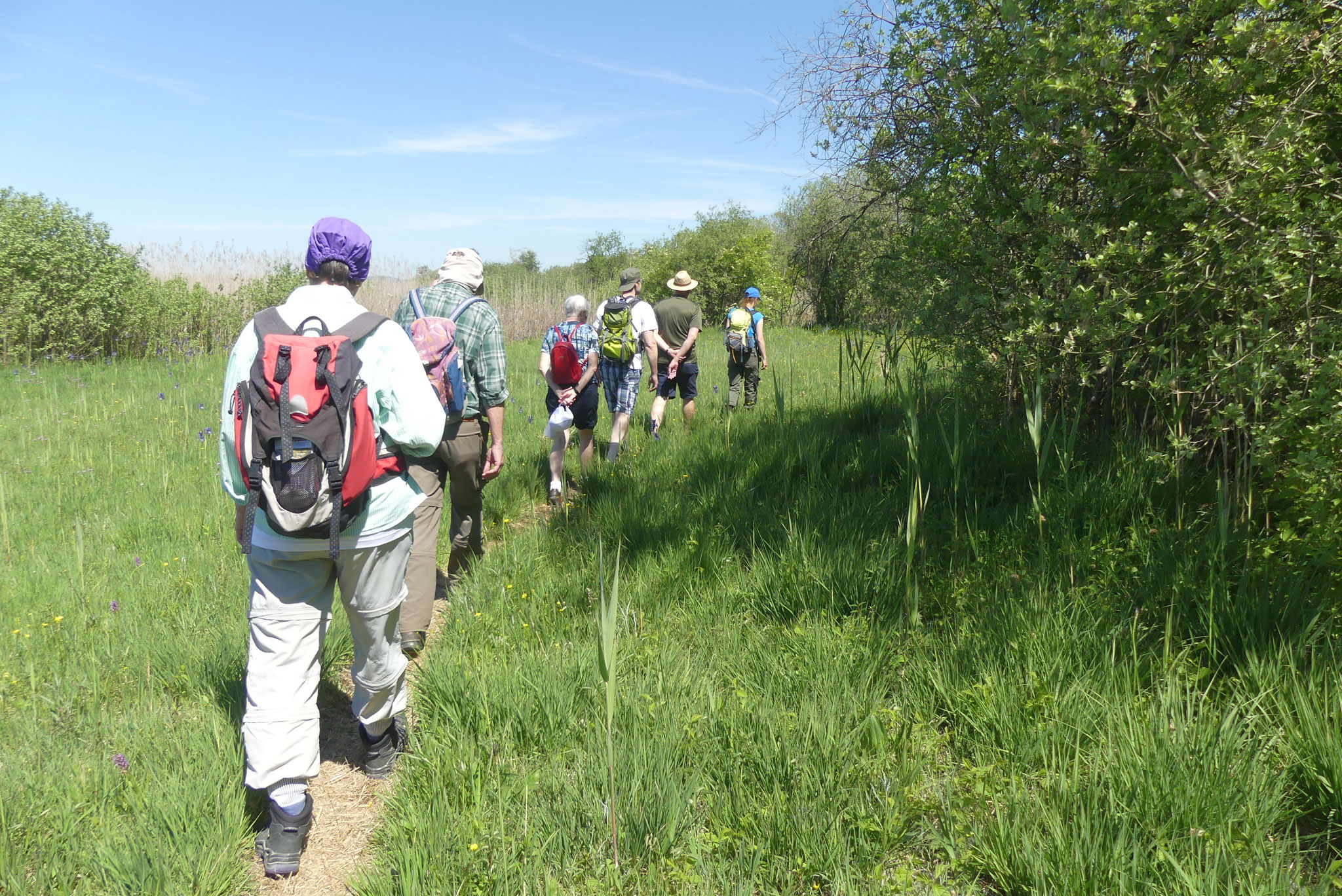 Wanderung durchs Ried