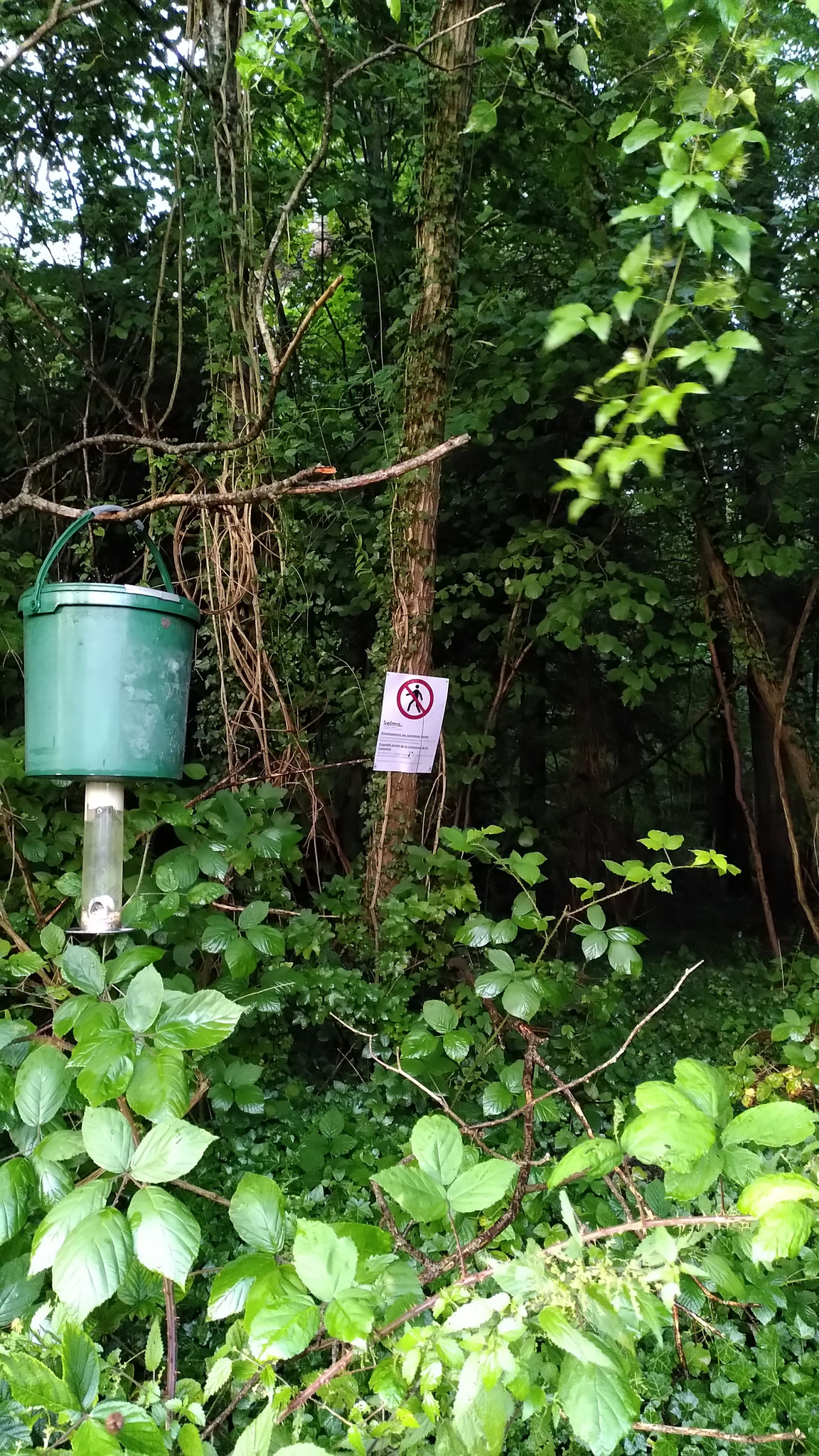 Copyright: BiHU VoG, Sicht auf das Zugangsverbotsschild am Waldrand zum Kinder- und Jugendspielplatz Hochheid, Hergenrath