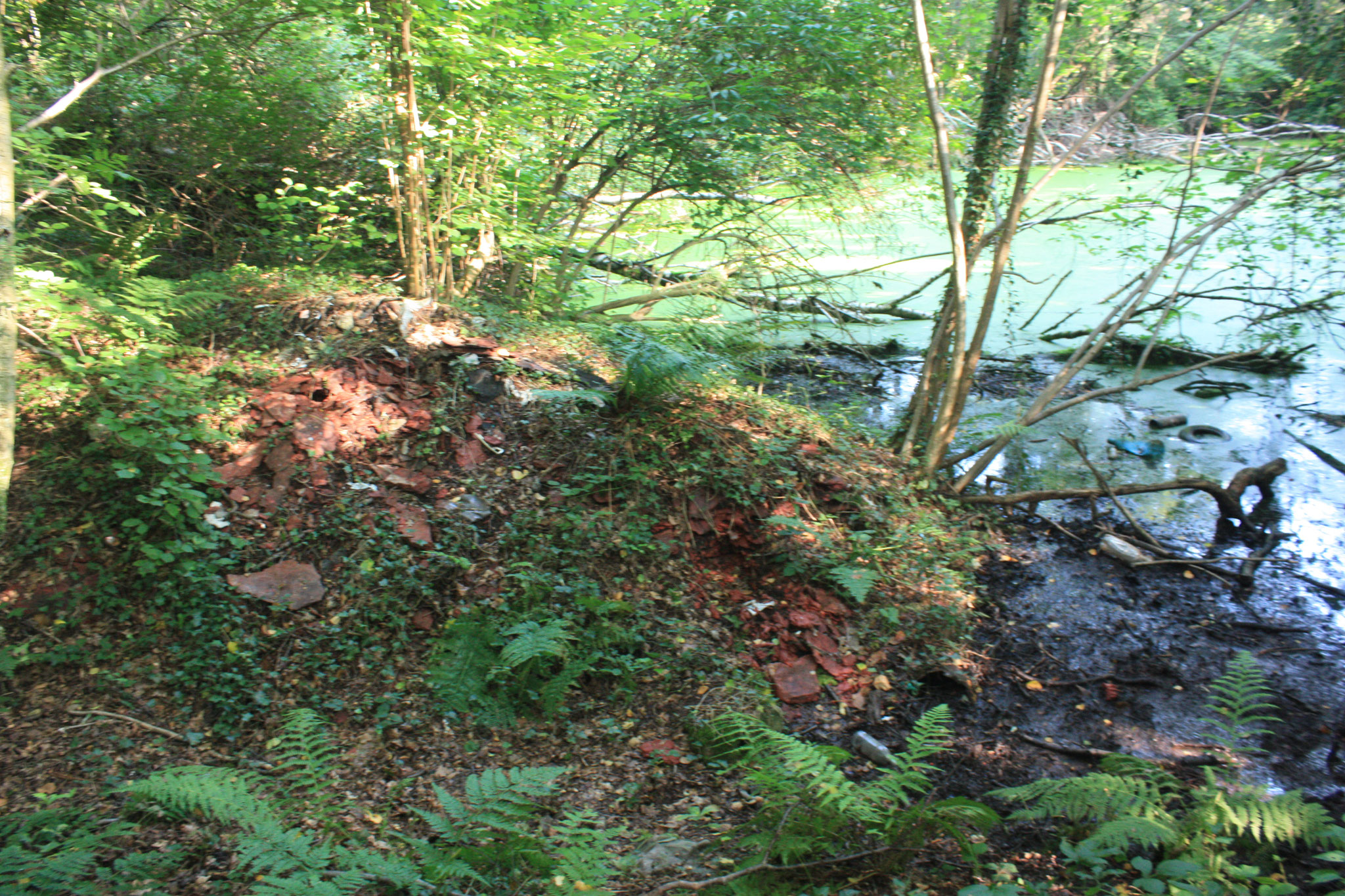 Copyright: BiHU VoG, Übersicht der Probenentnahmestelle am Ufer des Teiches auf dem Kinder- und Jugendspielplatz Hochheid, Hergenrath