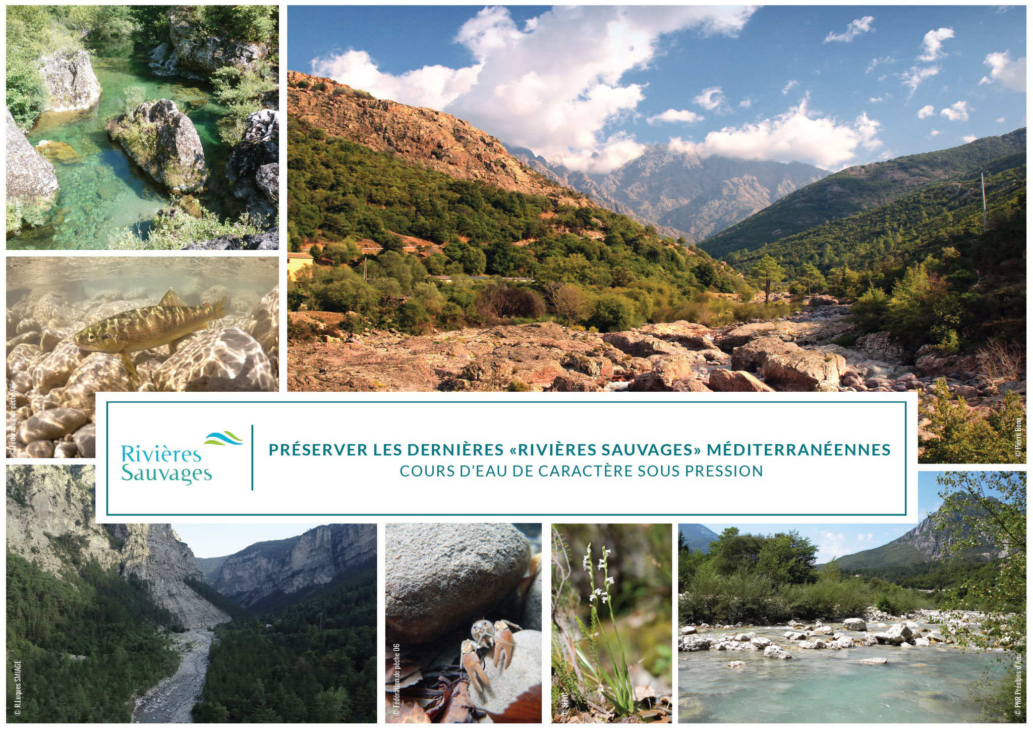 Rédaction des contenus de la plaquette sur les cours d'eau méditerranéens pour l'Association du Réseau des Rivières Sauvages (ARRS) - 2021