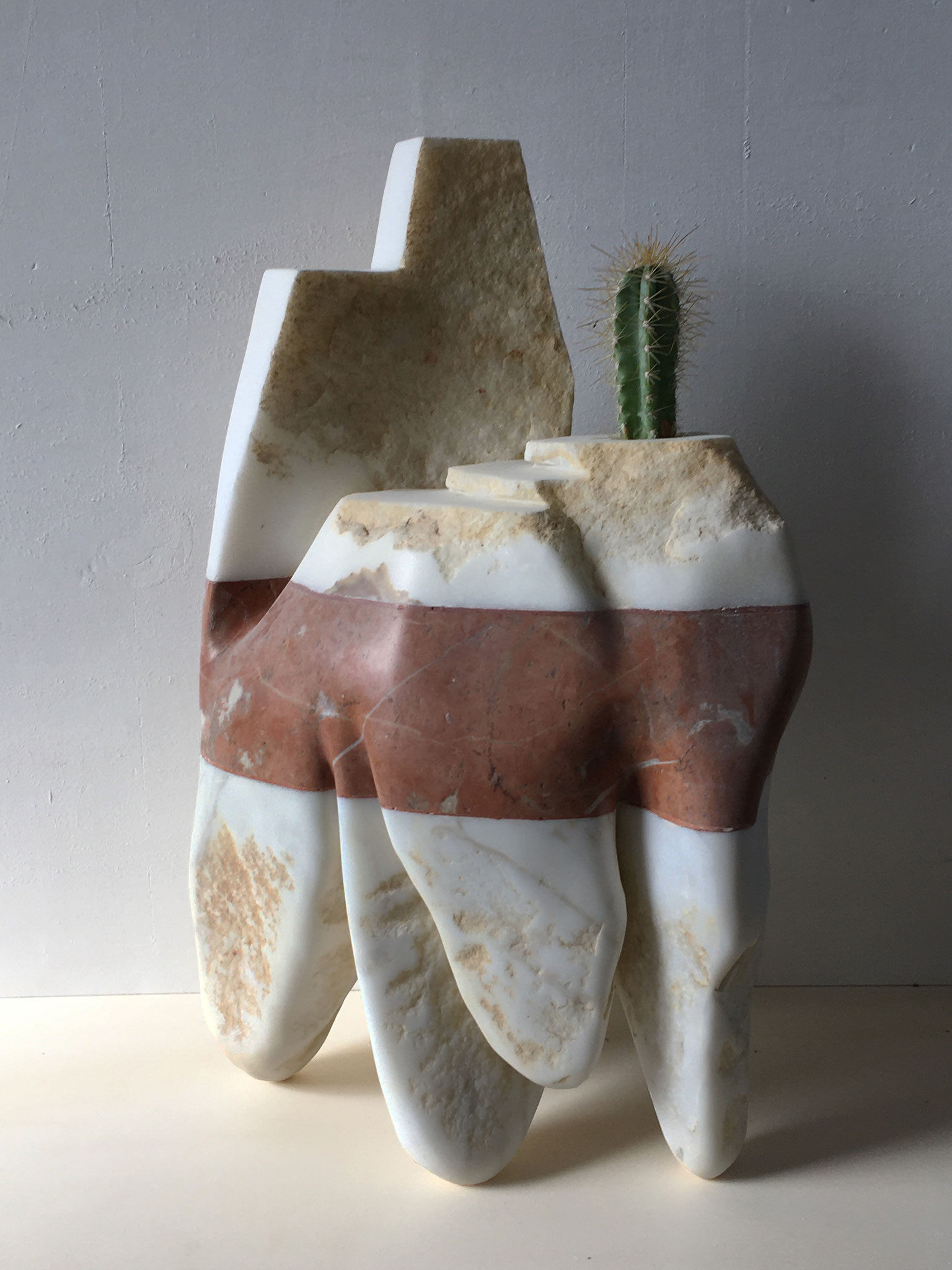Giardino andino - 2021 - Marmo e cactus