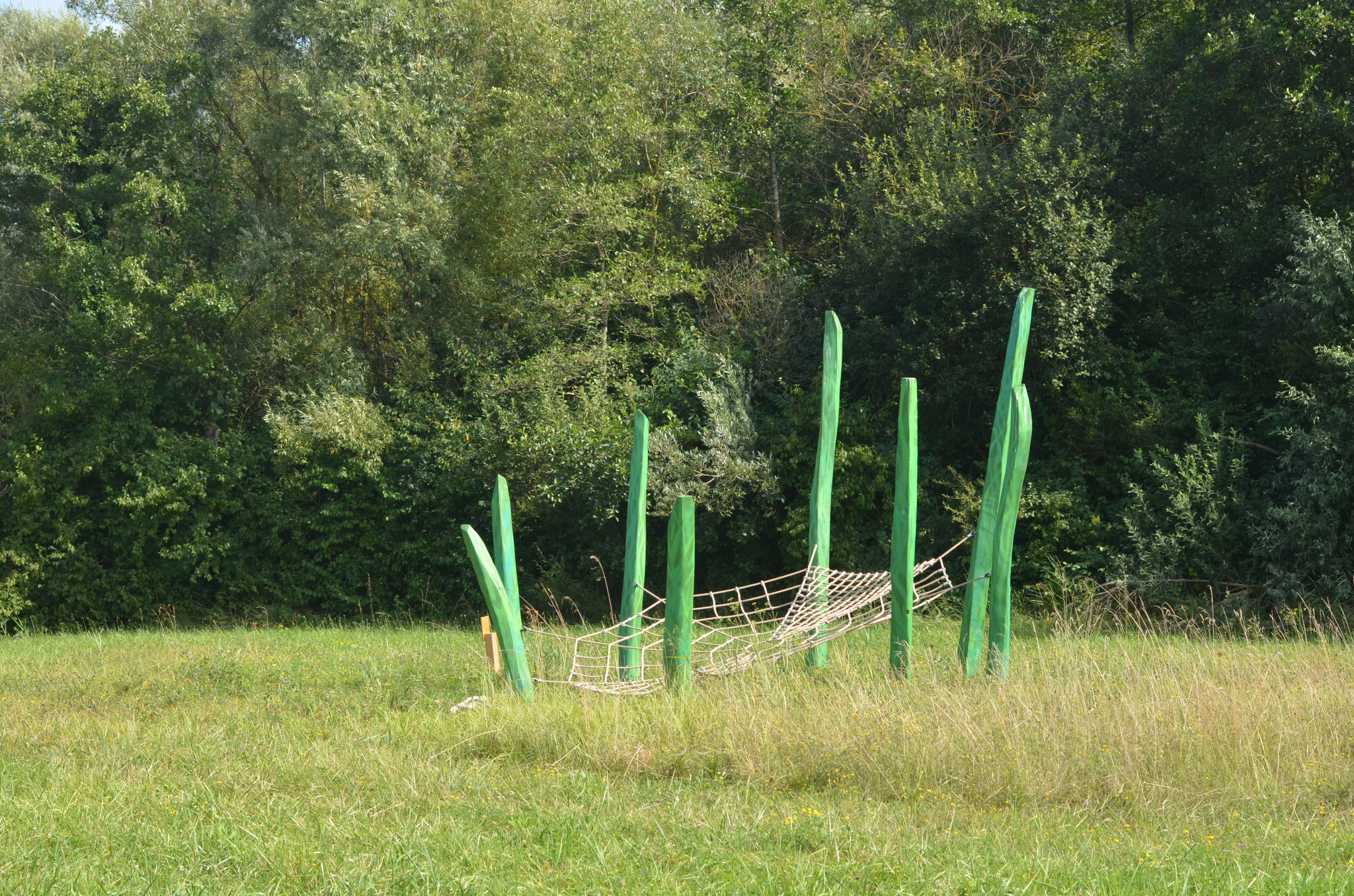 Das Wespenspinnennetz in Göldern - Foto: NABU/F. Litzelmann