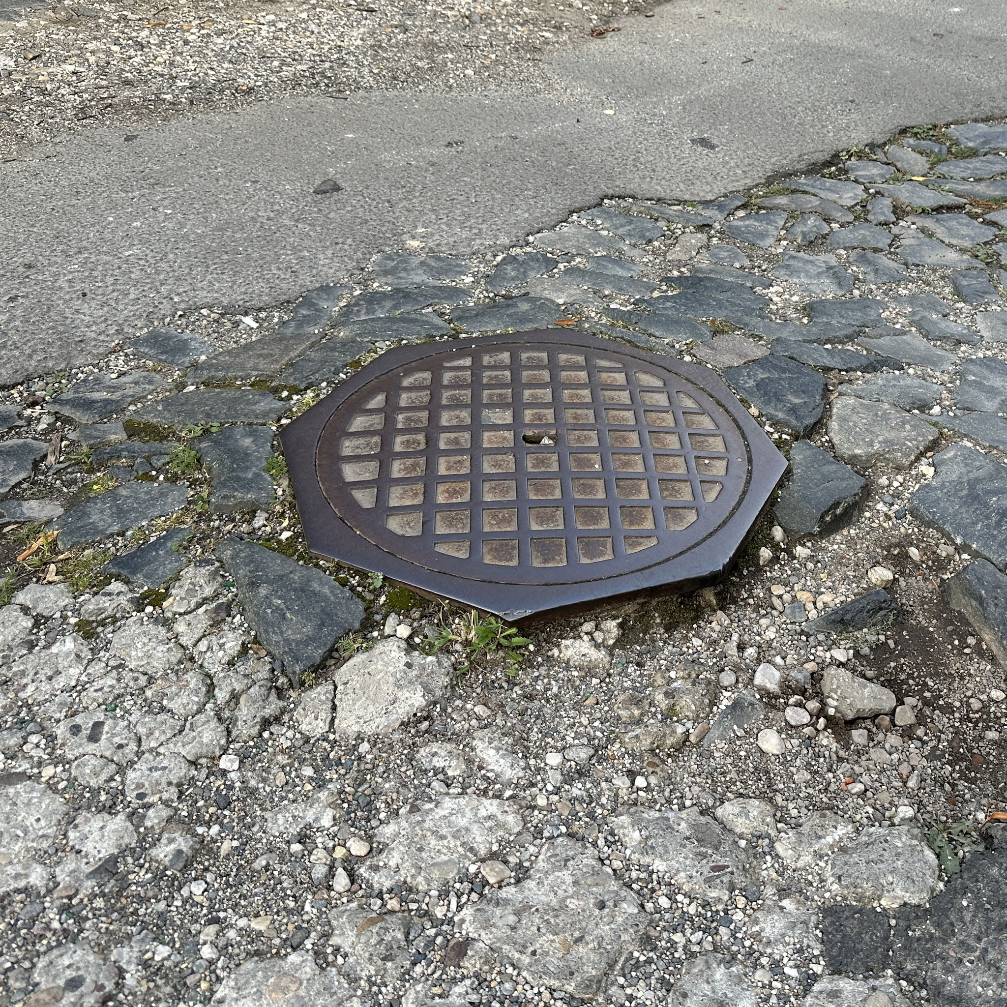 Foto: NL / 04.10.2023 / Pötzschker Weg