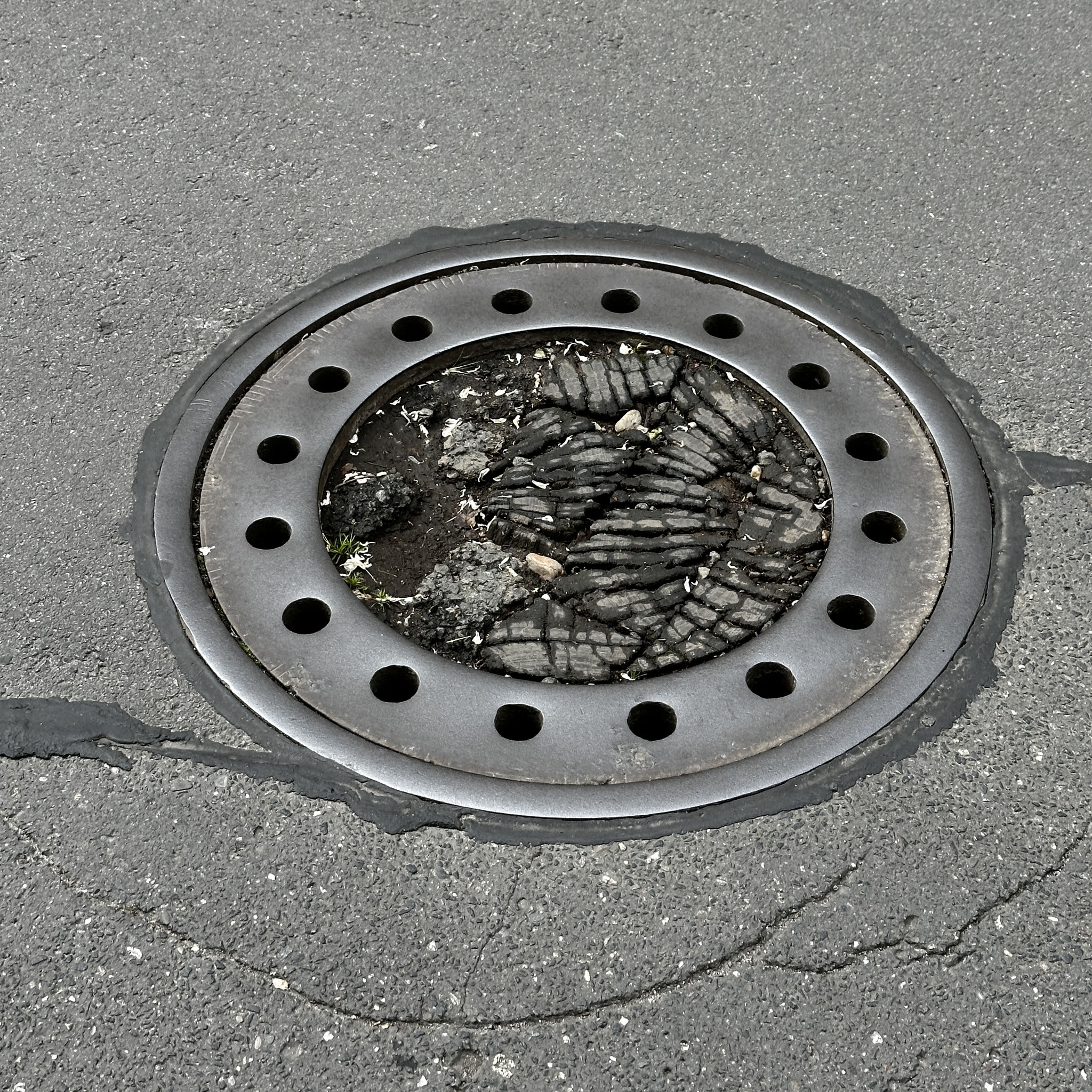 Foto: NL / 27.05.2025 / Humboldtstraße