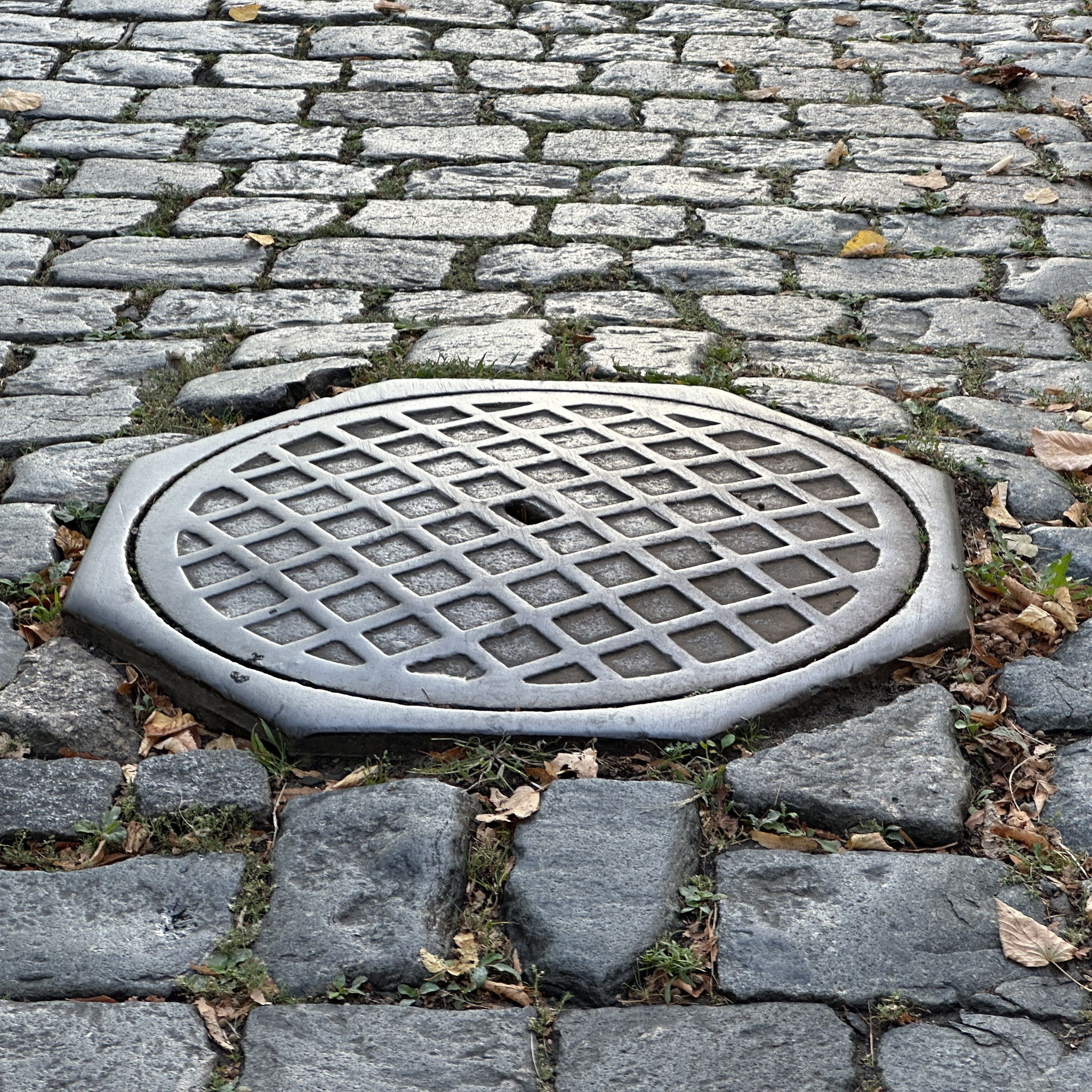 Foto: NL / 27.09.2023 / Bienerstraße