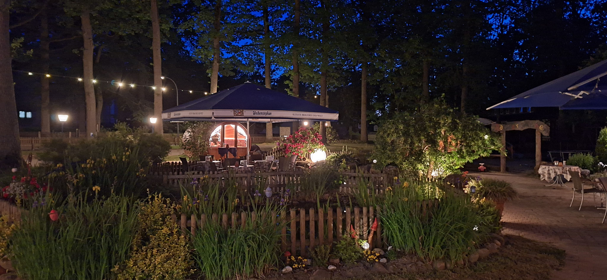 Garten bei Nacht 
