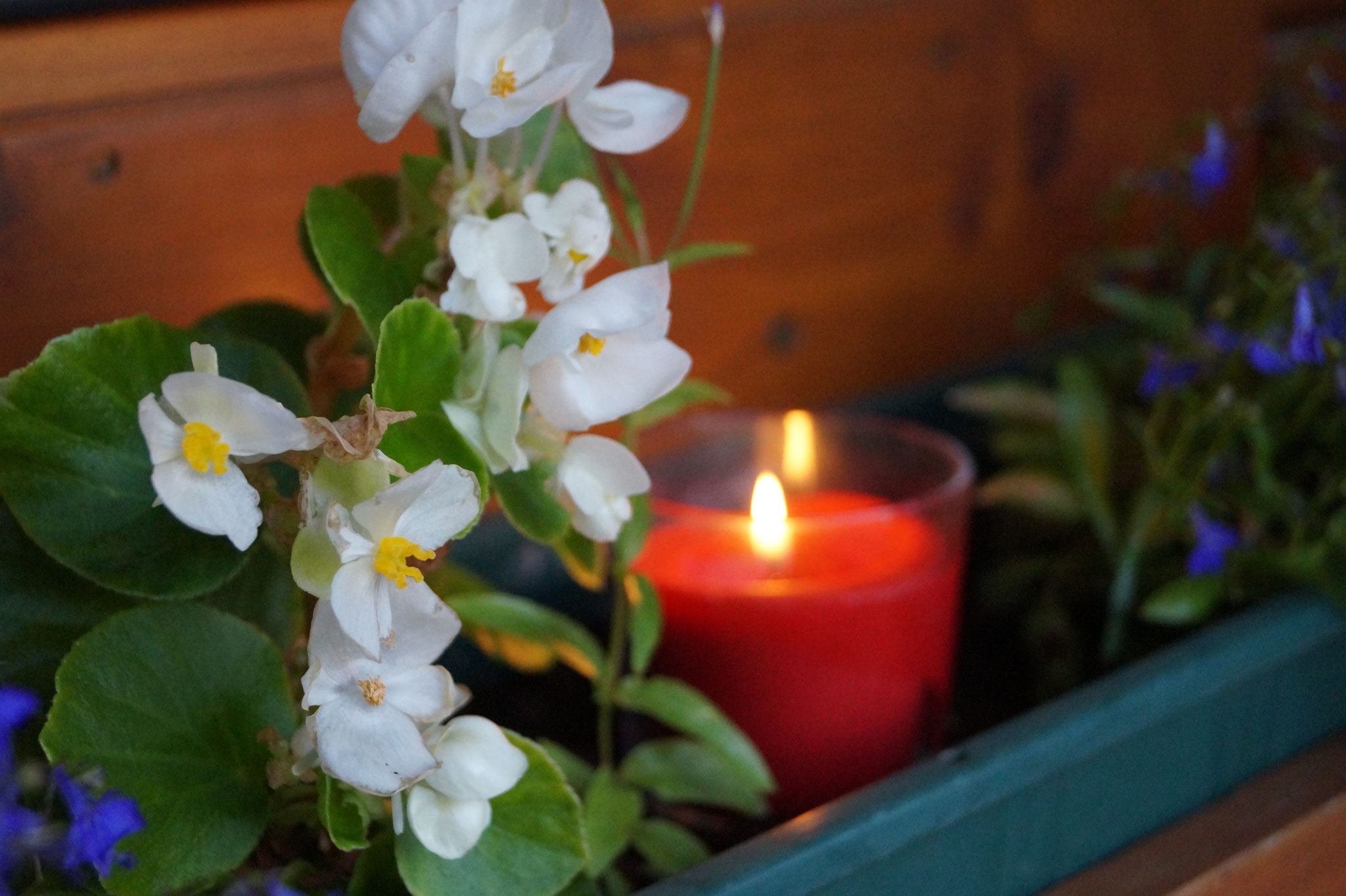 Selbst im Blumenkasten fand man eine Kerze