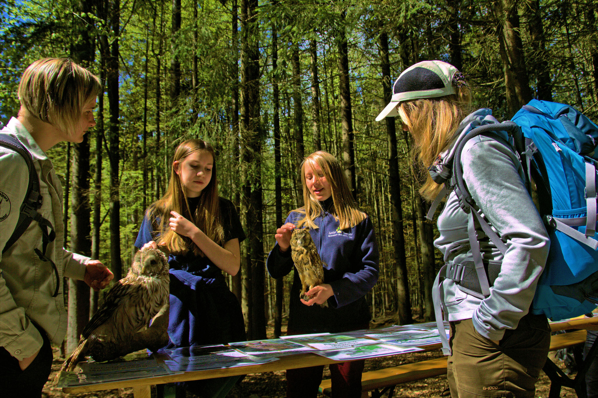 Junior Ranger Infostand. Foto:Michael Pscheidl