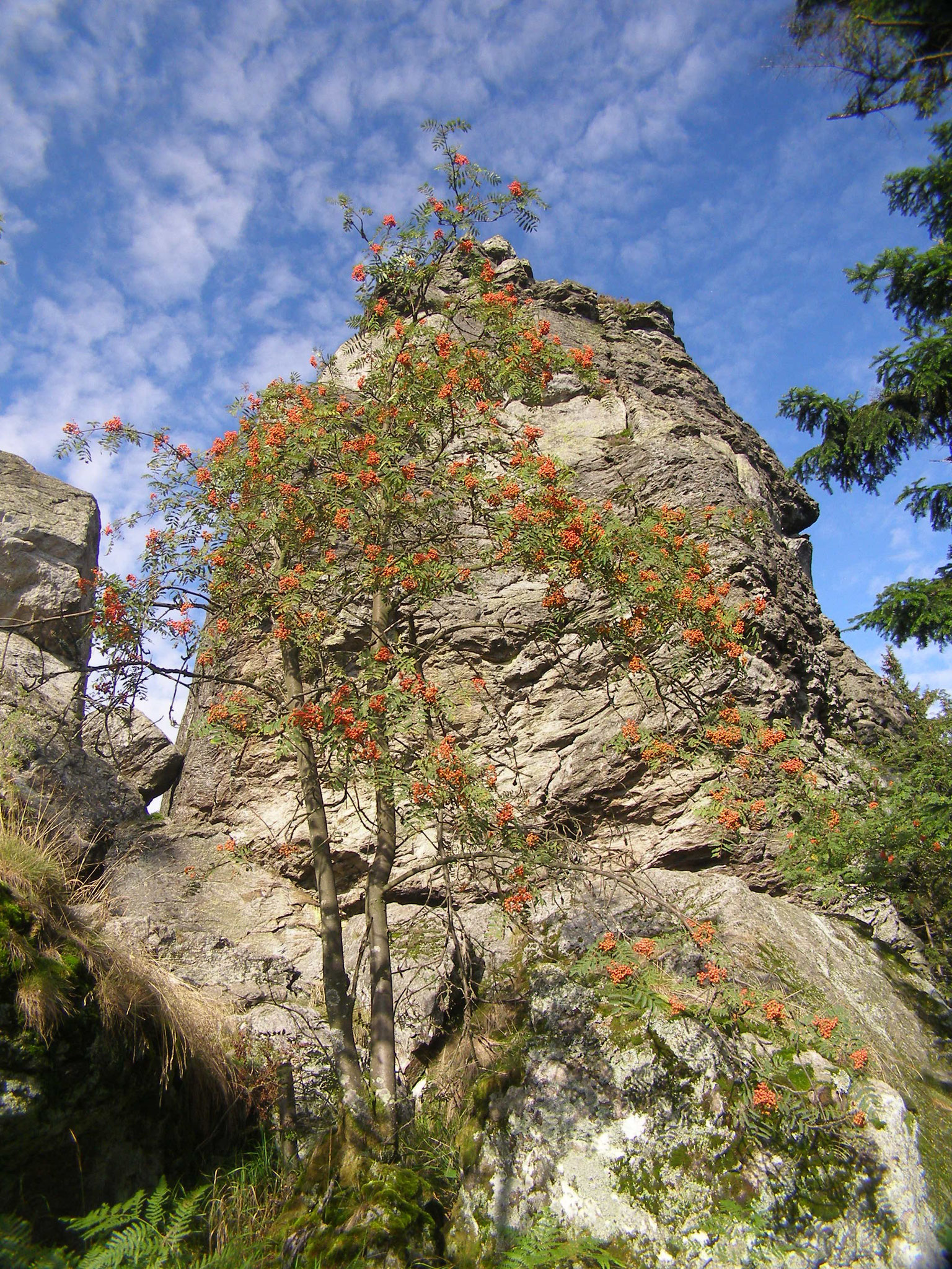 Steinturm