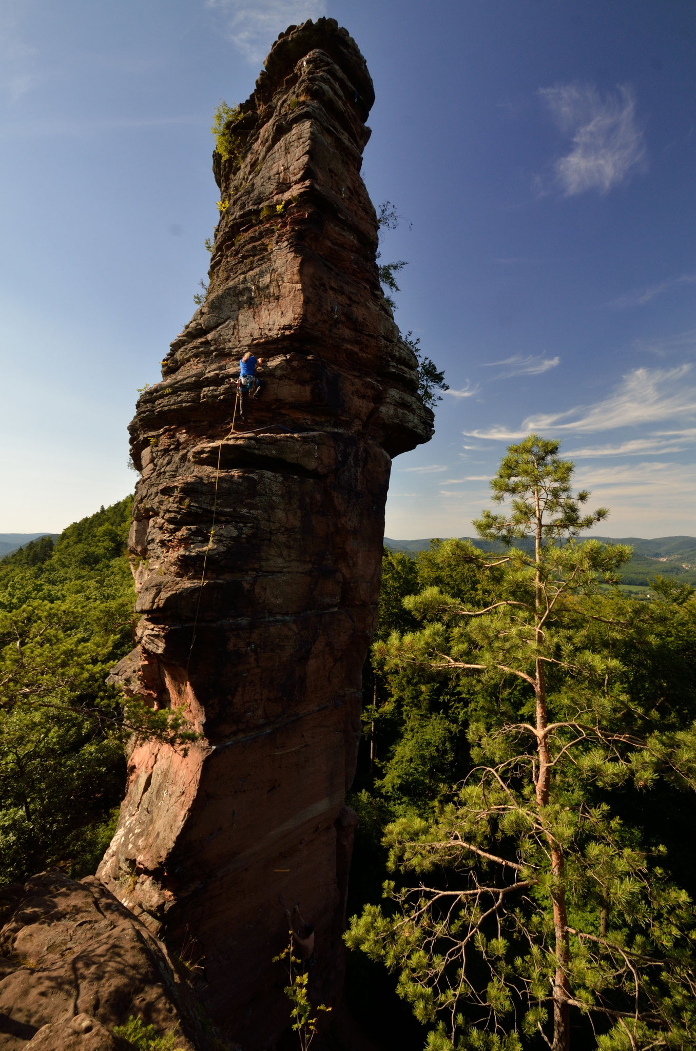 Pferchfeldturm_Südpfalz_2017. Foto: Matthias Wutz 