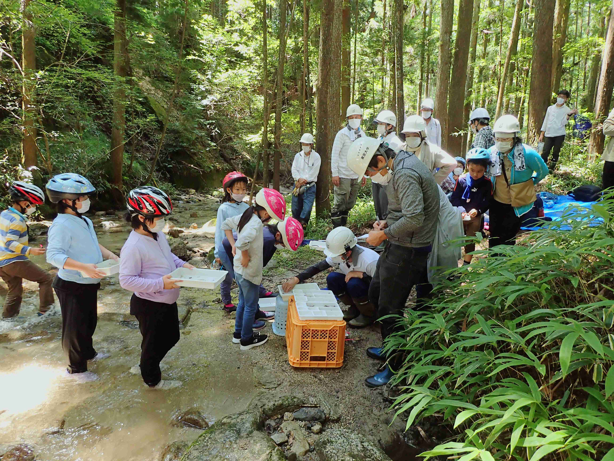 親子水生動物観察会