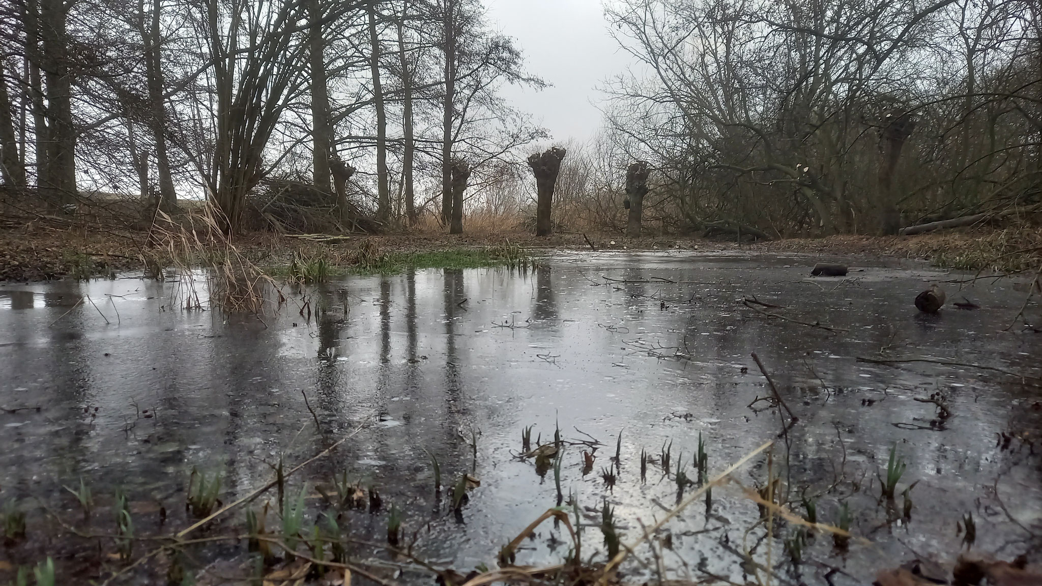 FOTO: NABU Bad Münder