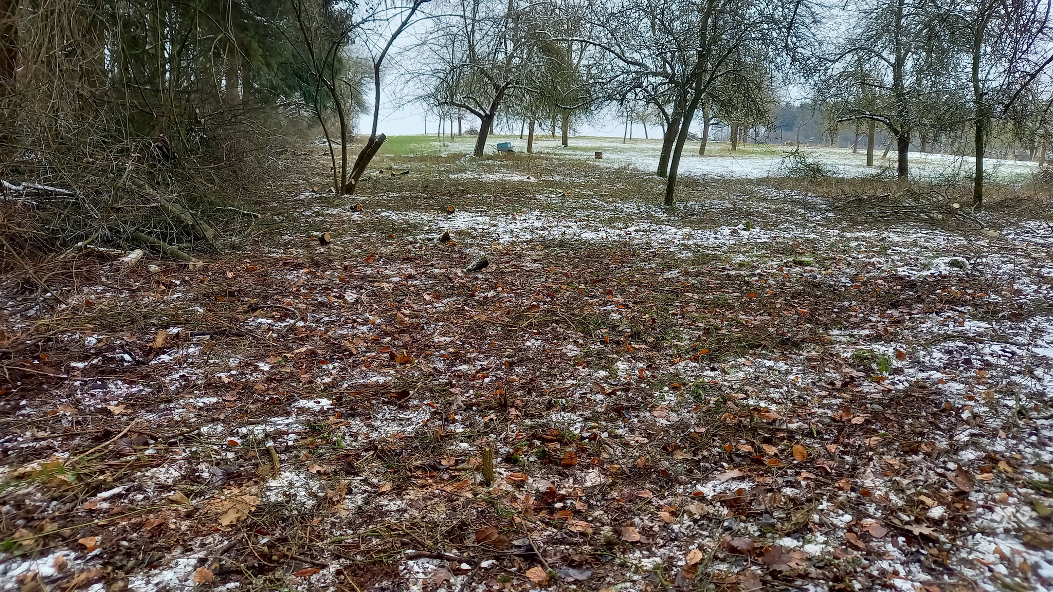 FOTO: NABU Bad Münder
