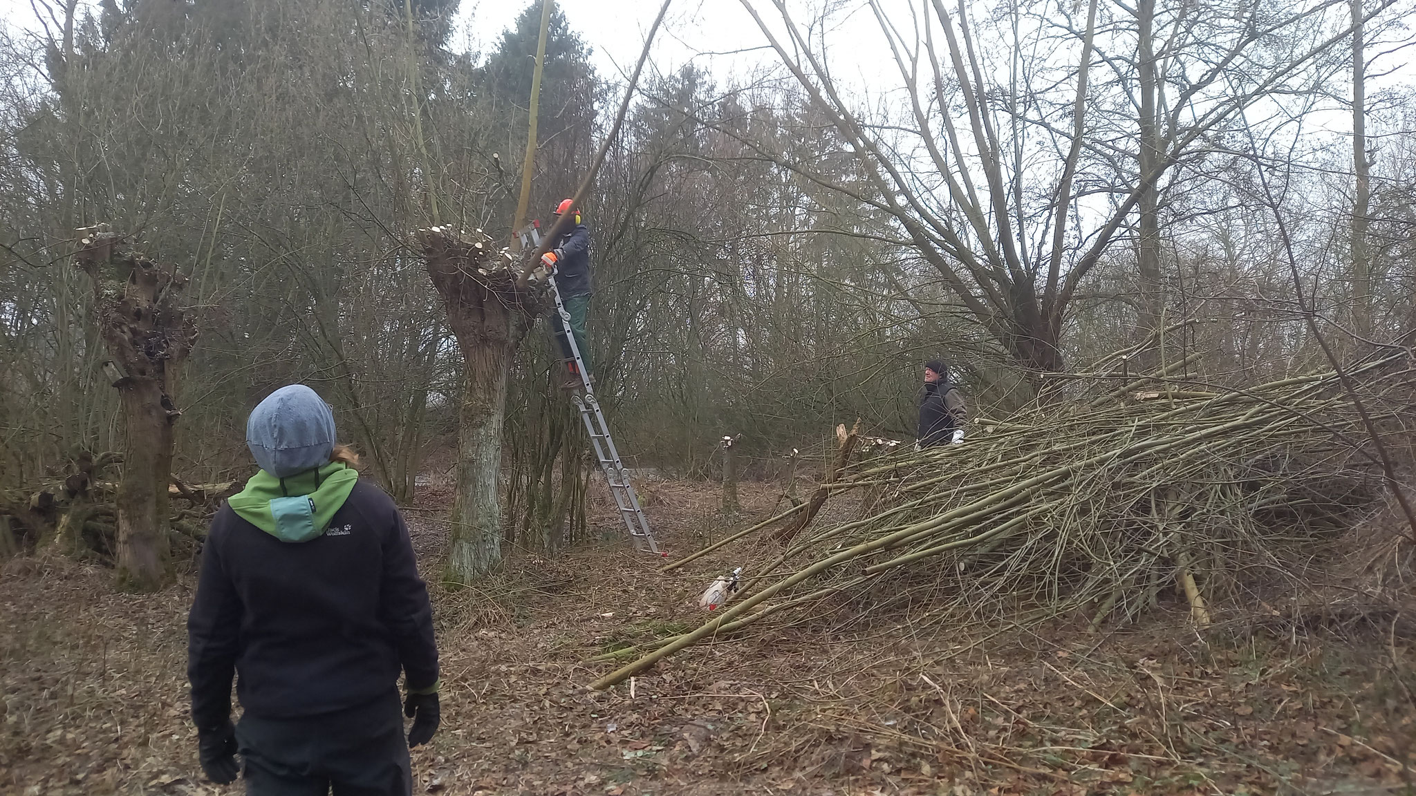 FOTO: NABU Bad Münder