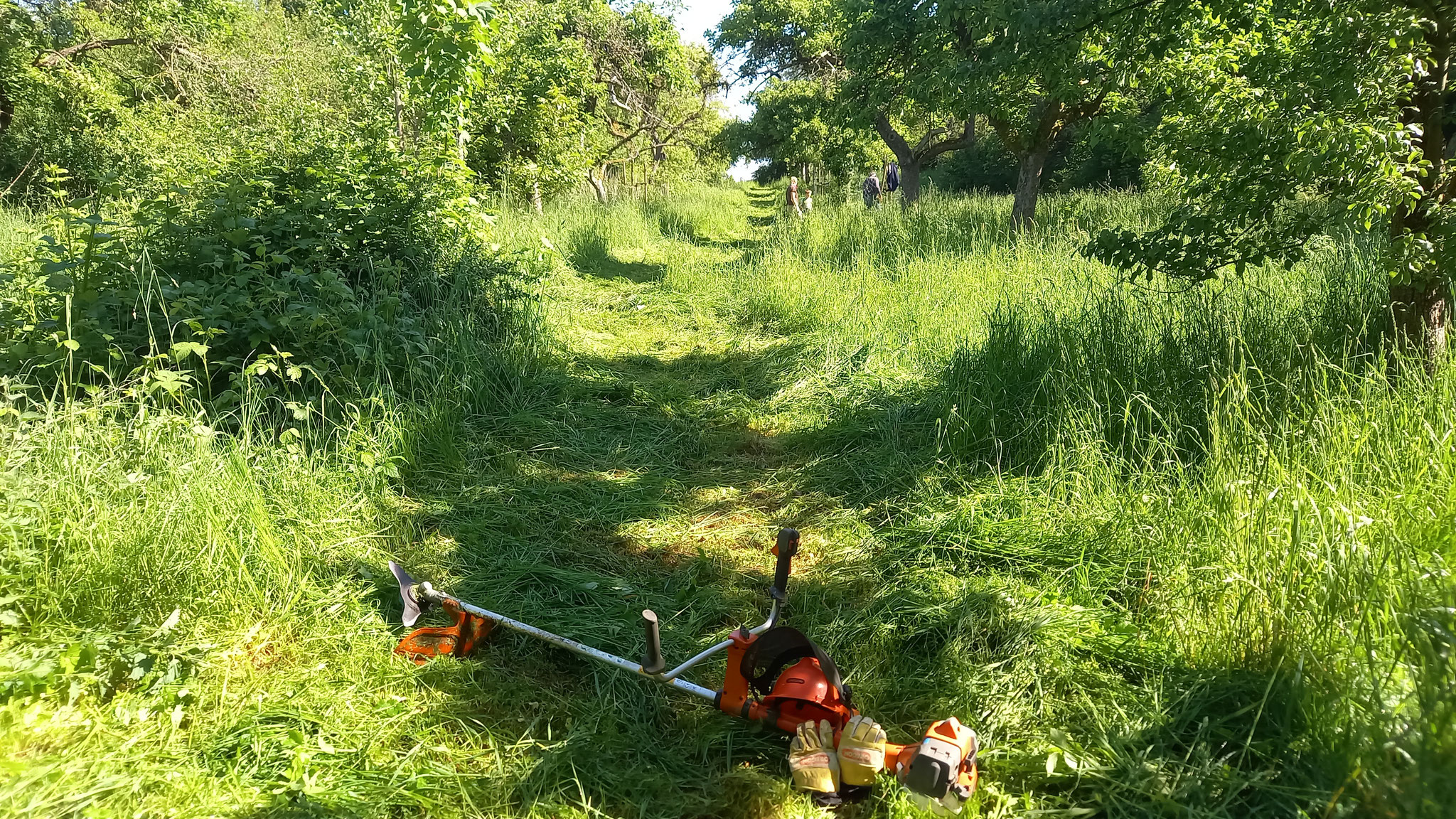 FOTO: NABU Bad Münder