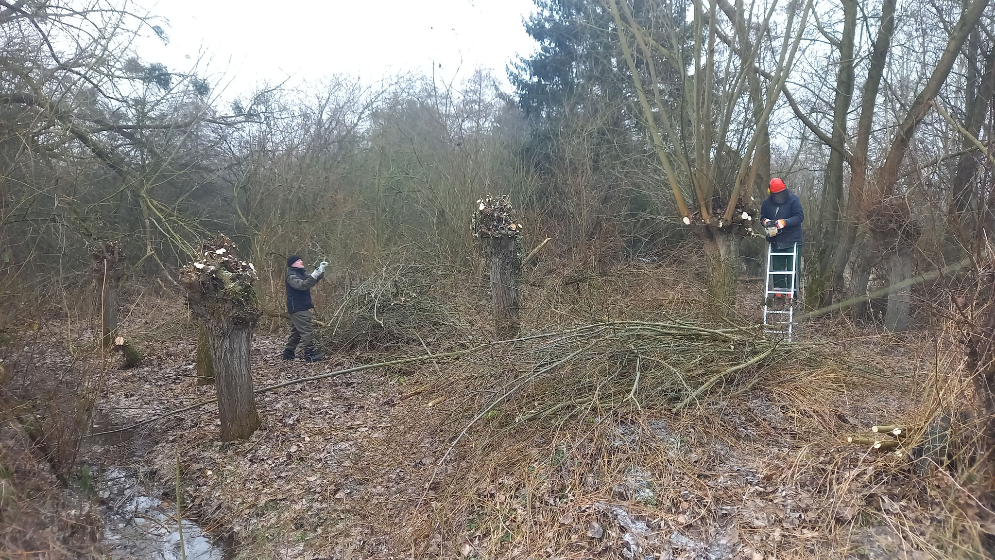 FOTO: NABU Bad Münder