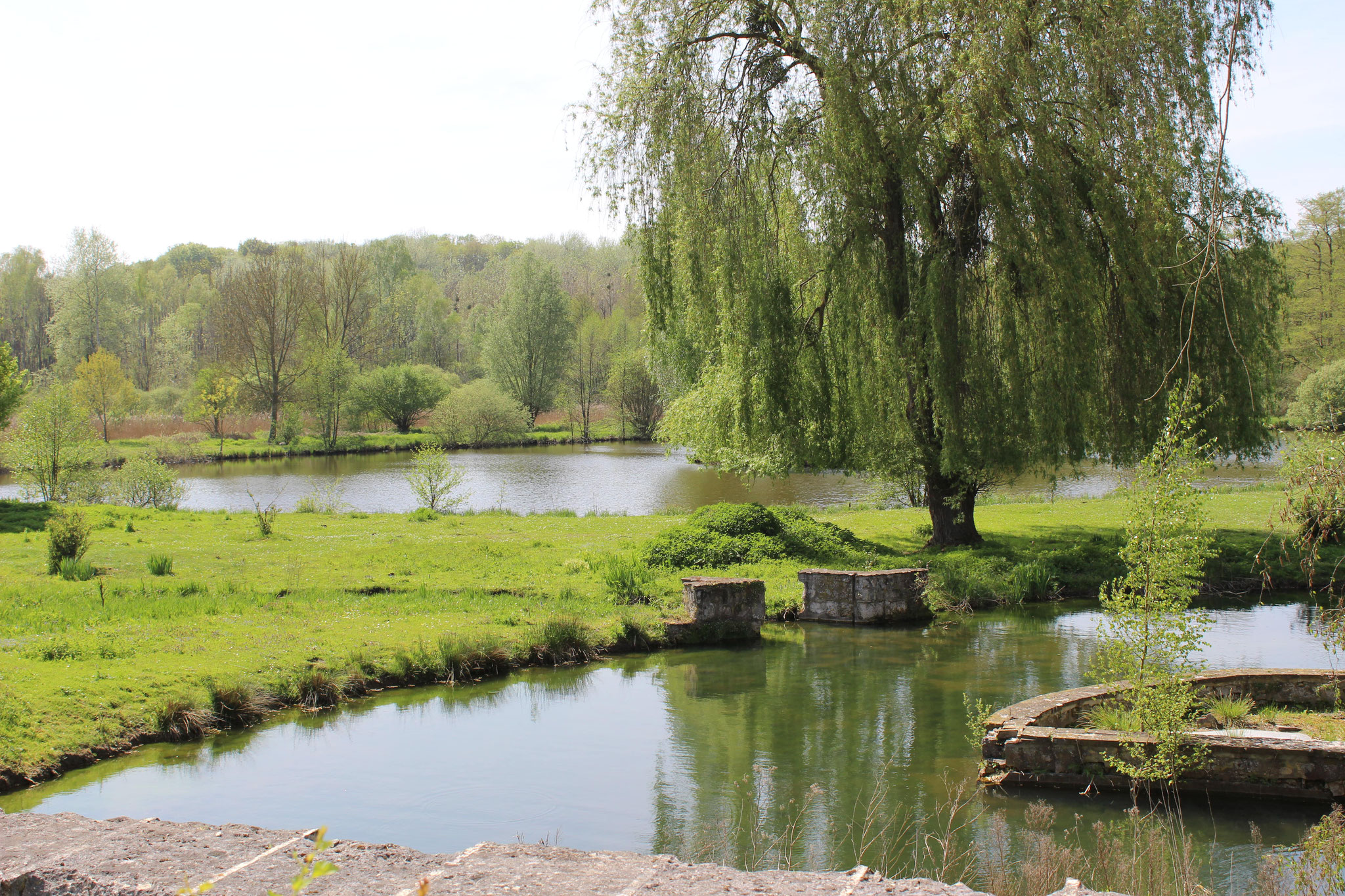 Étangs de Lieu-Restauré © OT du Pays de Valois