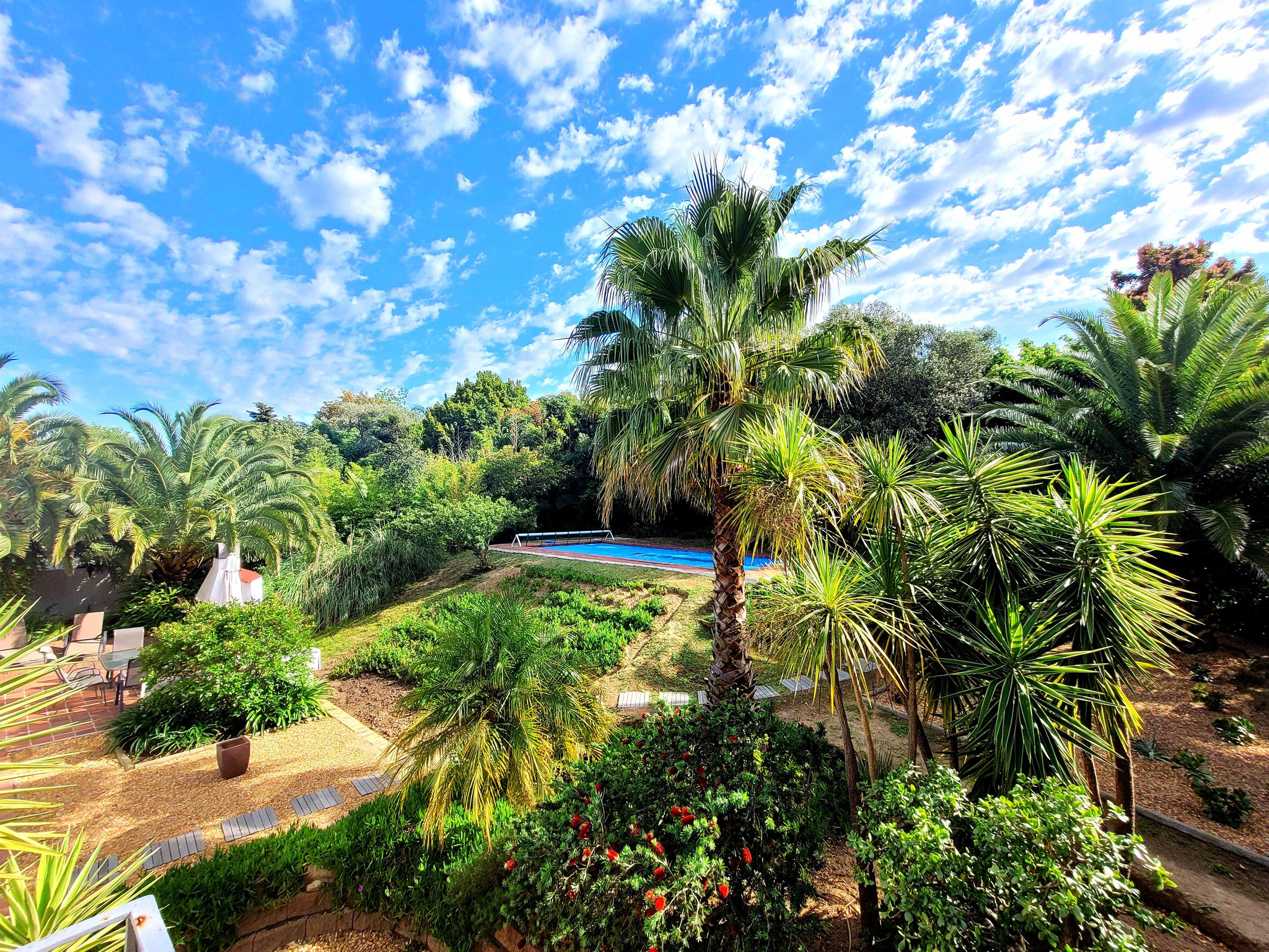 Blick vom Balkon in den Garten und zum Pool