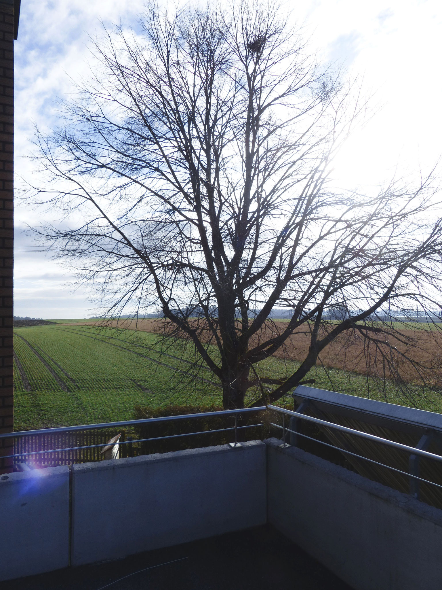 Balkon mit tollem Ausblick in die Natur DG