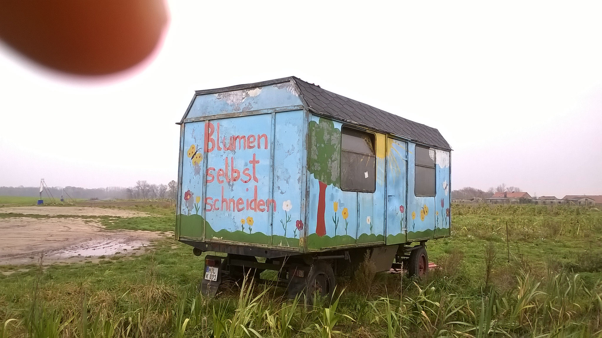 Verwitterte Zirkuswagen auf kahlen Feldern laden zum „Blumen selber Pflücken“ ein. Ein schwarz gewordenes Schwertlilienfeld liegt kreuz und quer