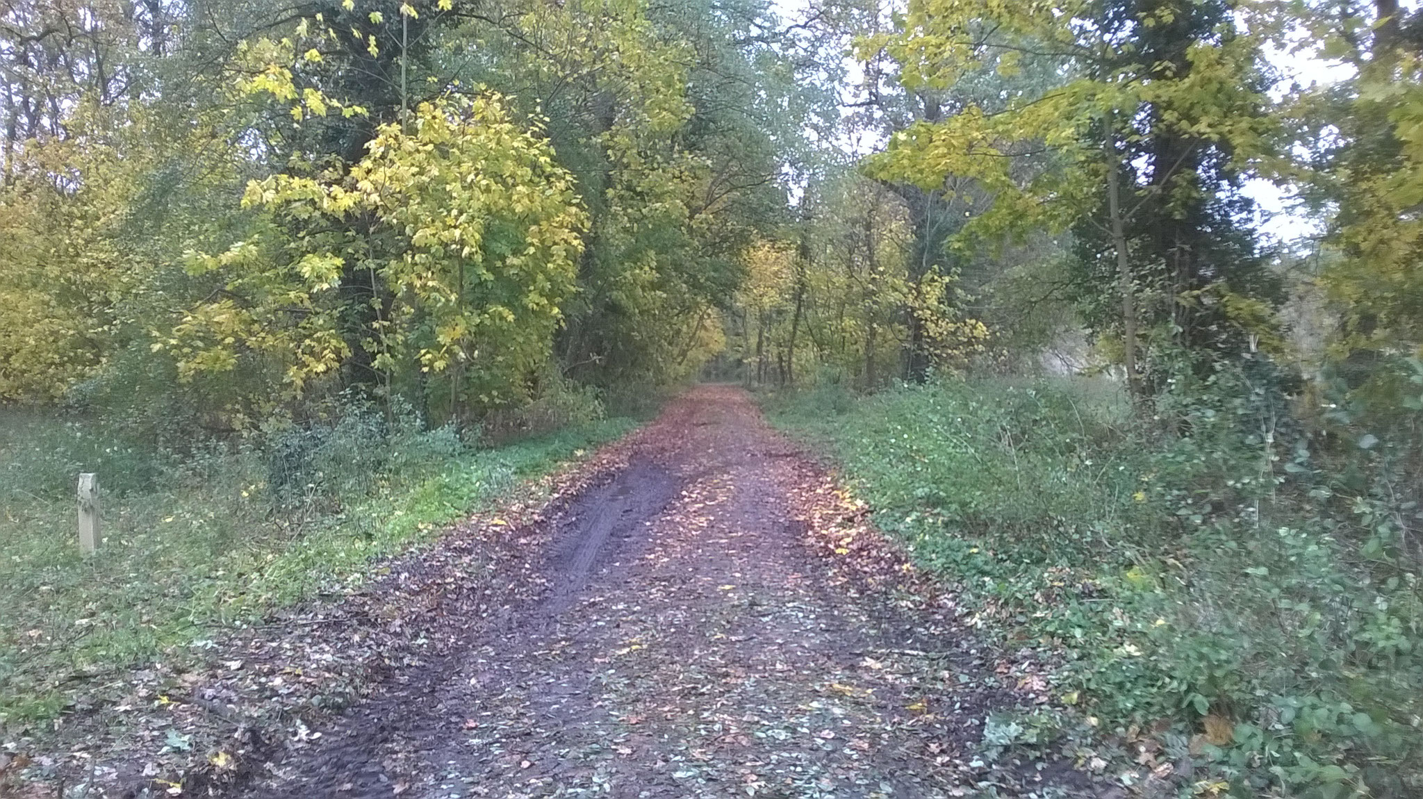 Ein Pferdegestüt, ein Gutshaus, ein Gutspark, durch den eine alte Kopfsteinpflasterstraße nach Ribbeck führt. 