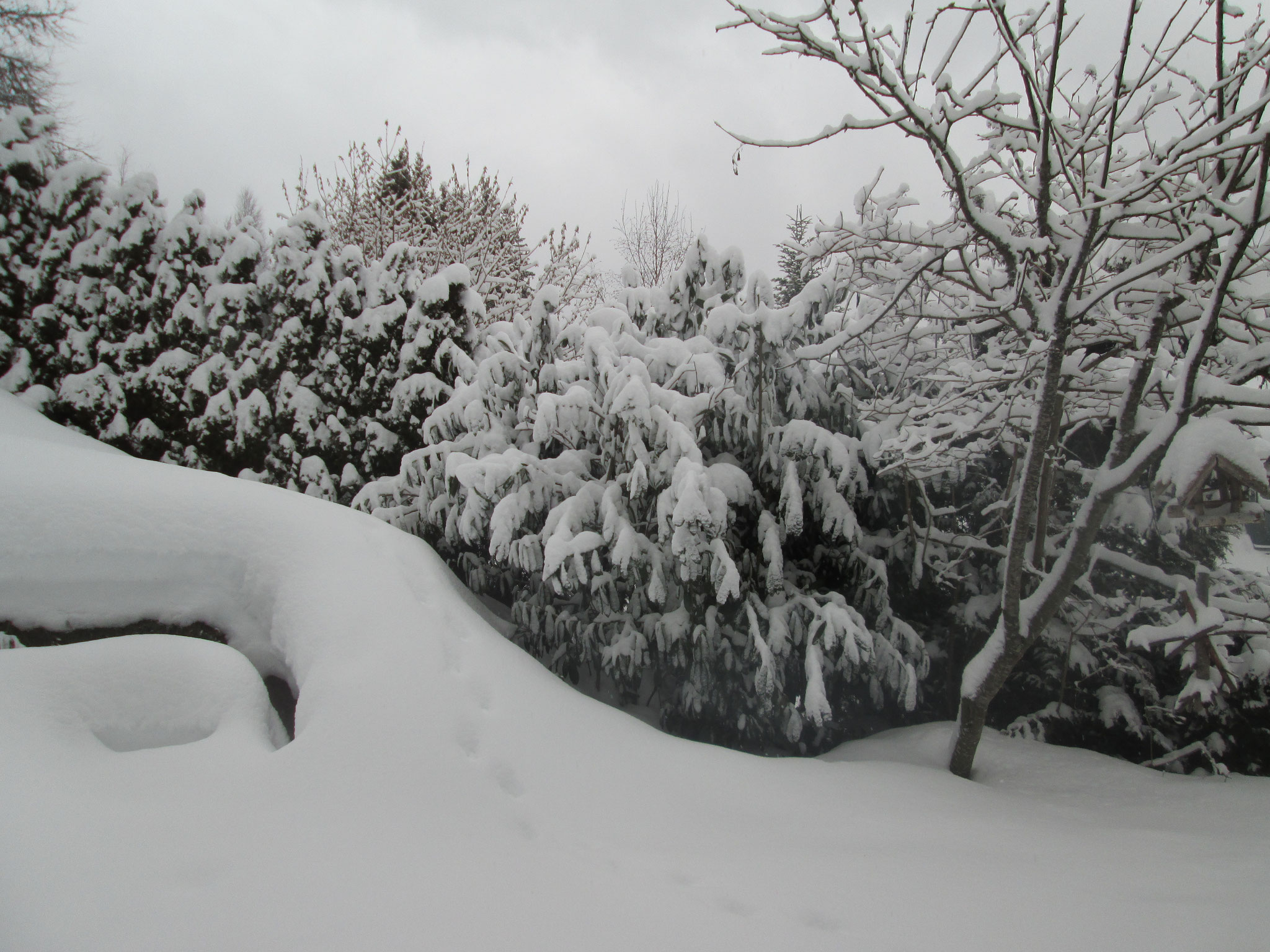 Der Schnee stiebte von den Dächern, beschoss in Böen die Windschutzscheiben und brachte die Räder zum Durchdrehen, als das Auto sich langsam das verschneite Sträßchen den Berg hinauf arbeitete. 