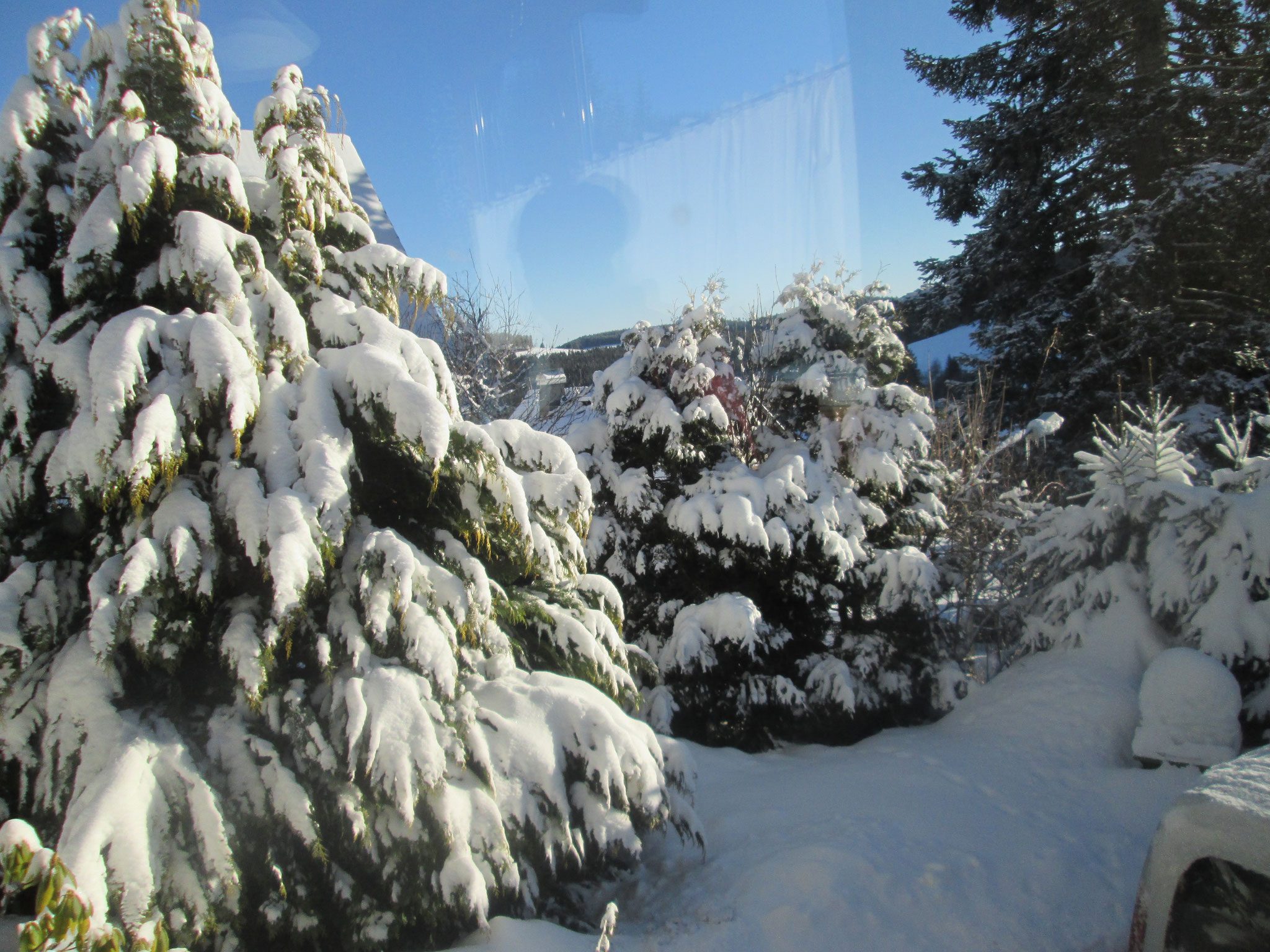 der uns heute mit 4 Stunden Sonnenschein beschenkt und den Neunschnee leuchten lässt, der die ganze Nacht über noch gefallen ist. 