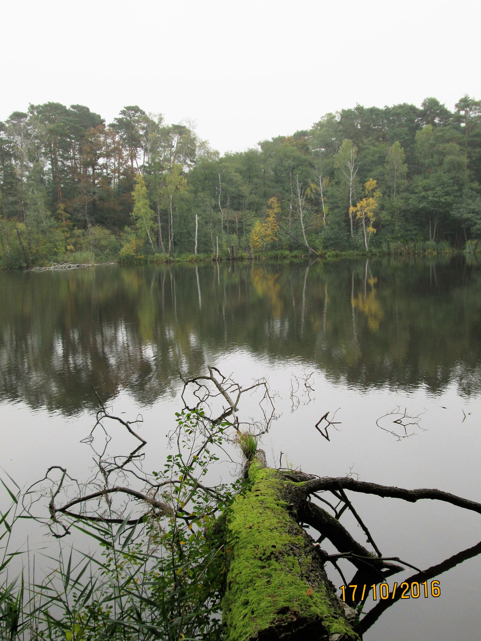in einen betrübten Tag zaubert...