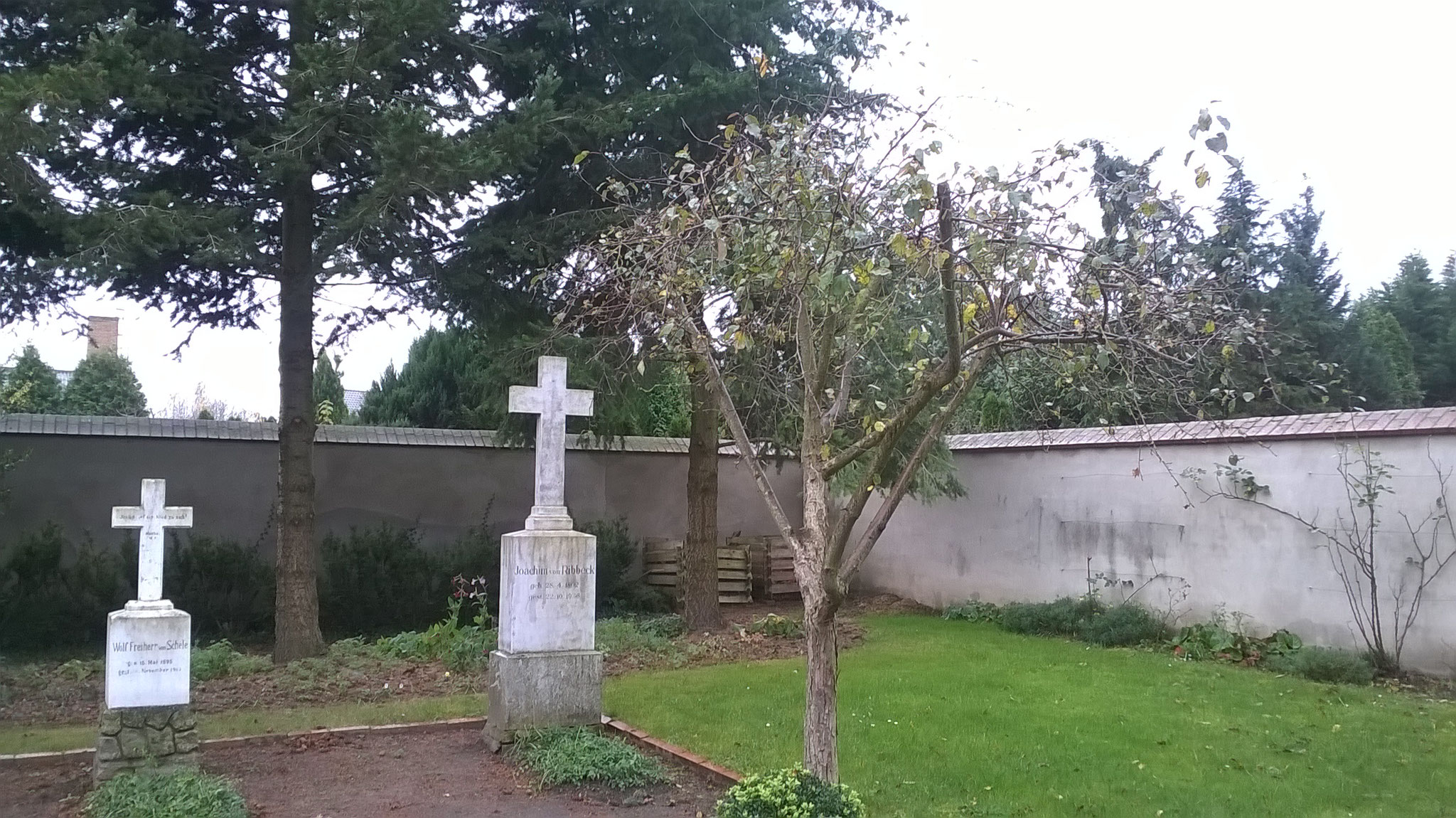 Wo ist aber jetzt der berühmte Birnbaum? Ich finde ihn auf dem Friedhof. Es ist ein winziges dürres Bäumchen. Doch die Geschichte ist wahr.