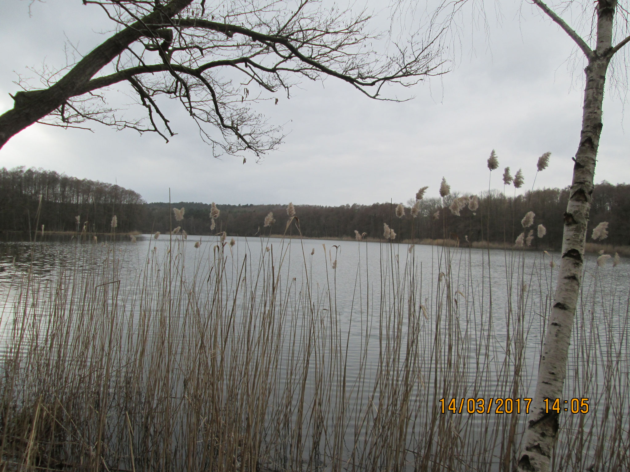 kleiner Lienewitzsee
