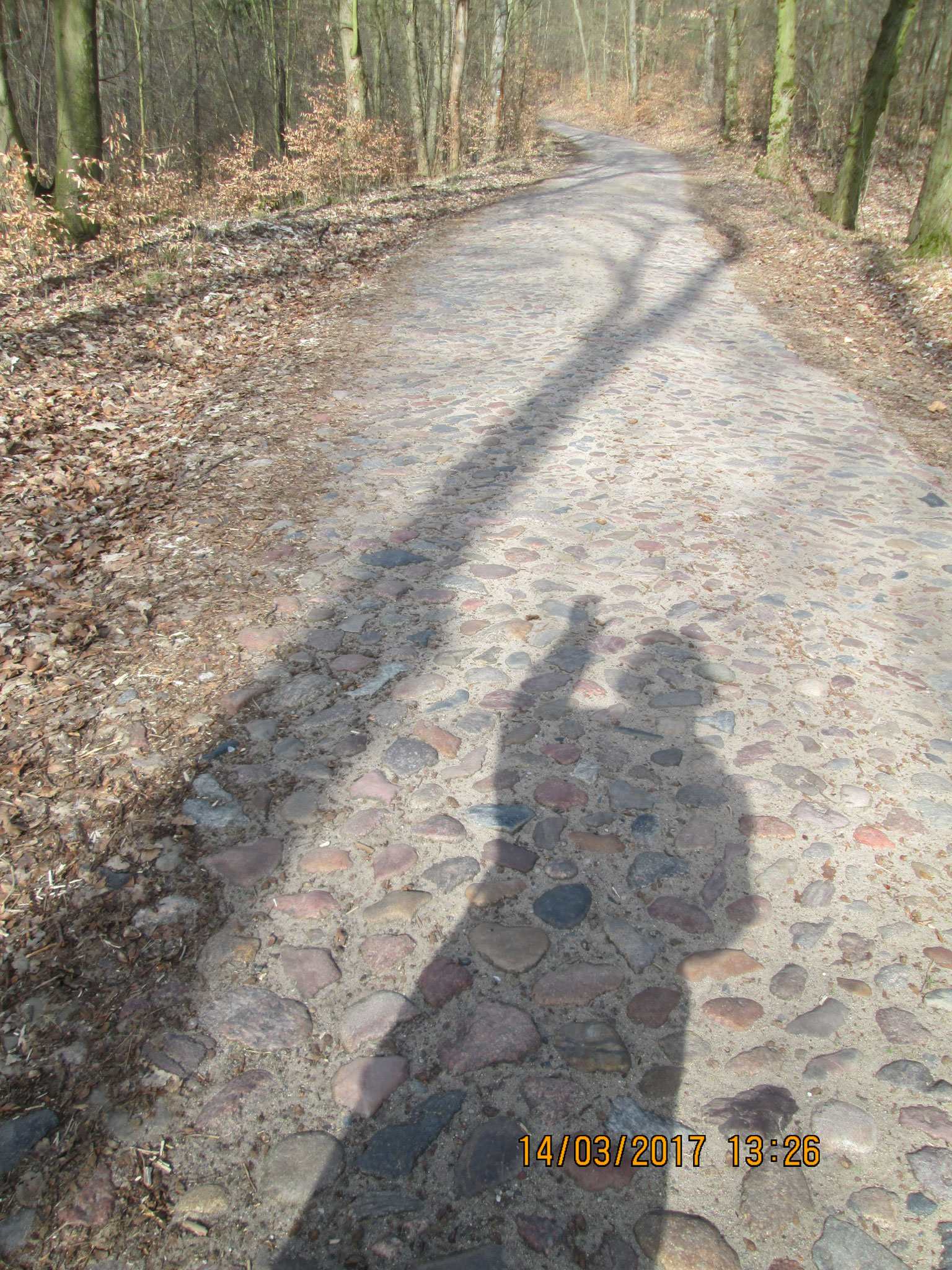 alte Kopfsteinpflasterstraßoe