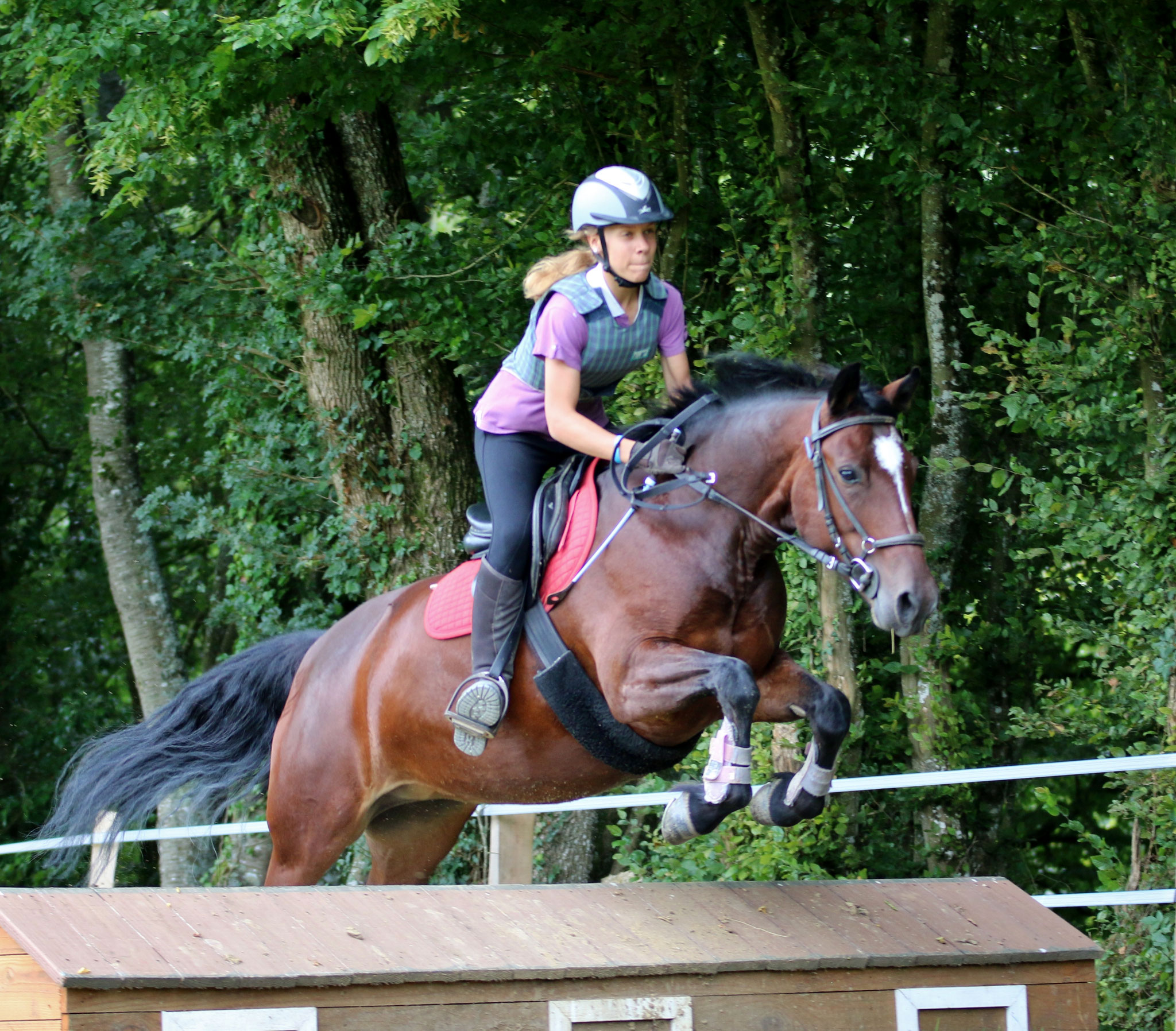 Vedette