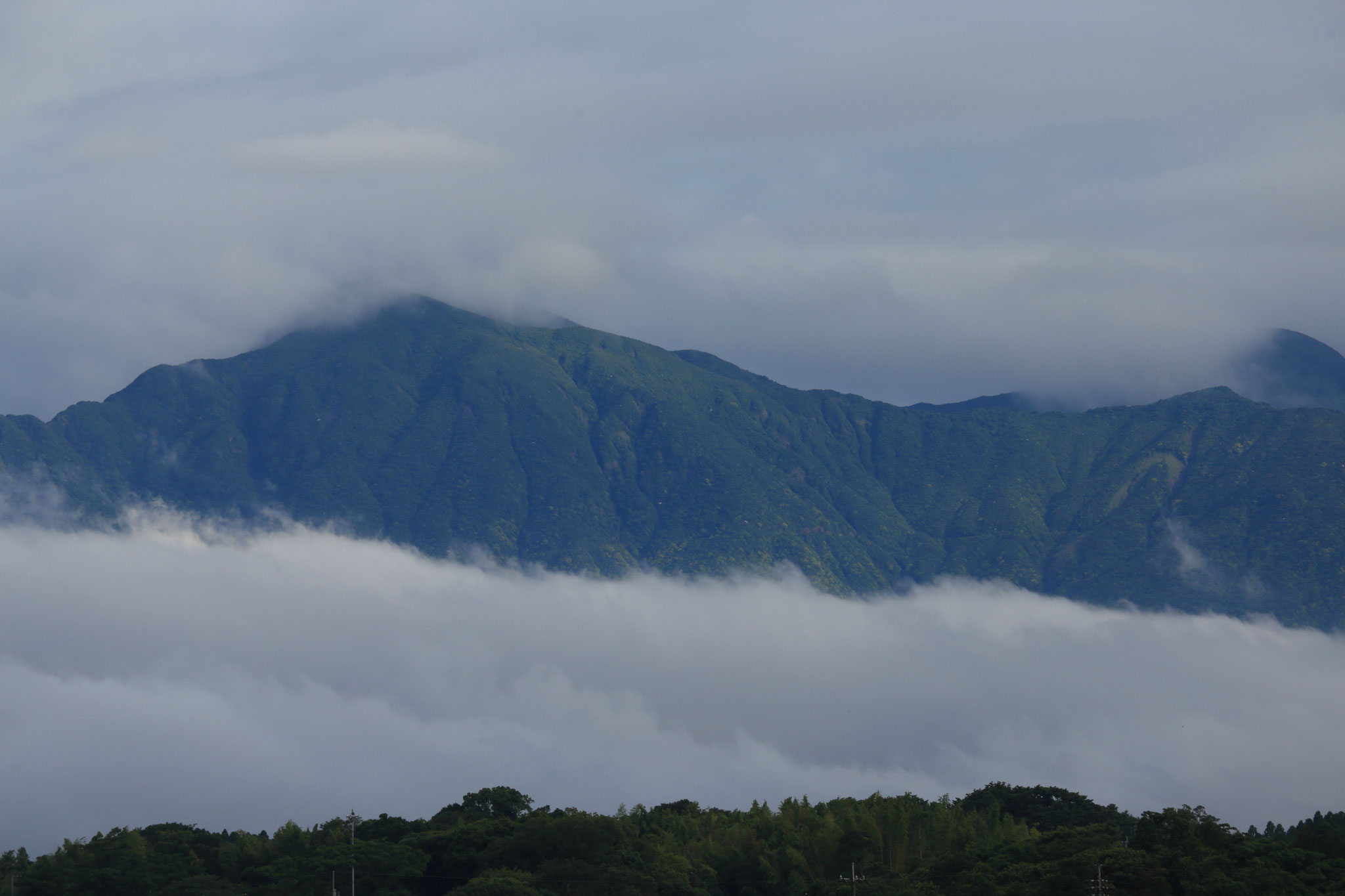 朝の会社から見る、まるで雲海景色な高隈山(6/18 6:56 加工センター駐車場）