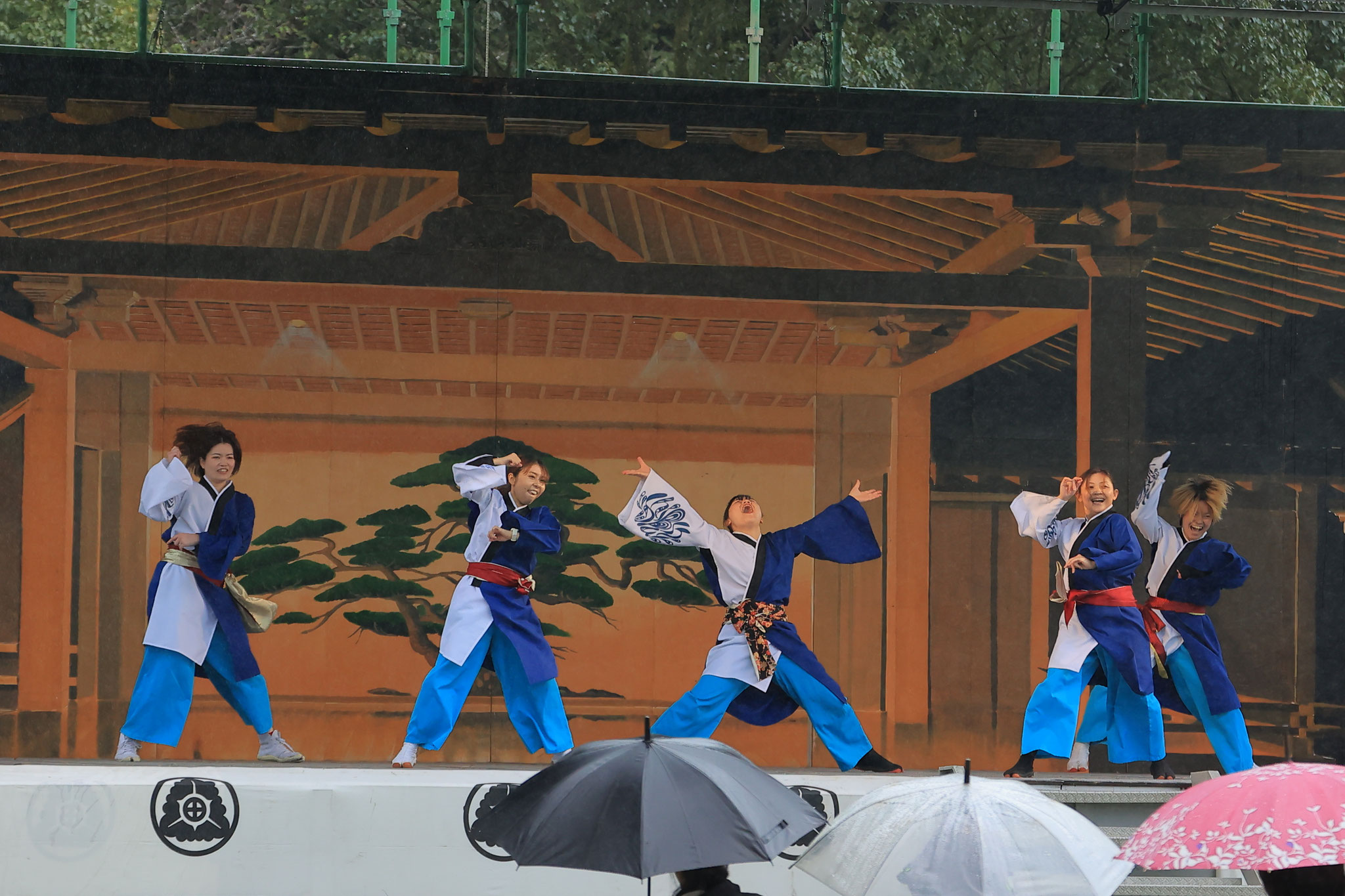 雨天ながらも見せるよさこい(11月10日 志布志市)