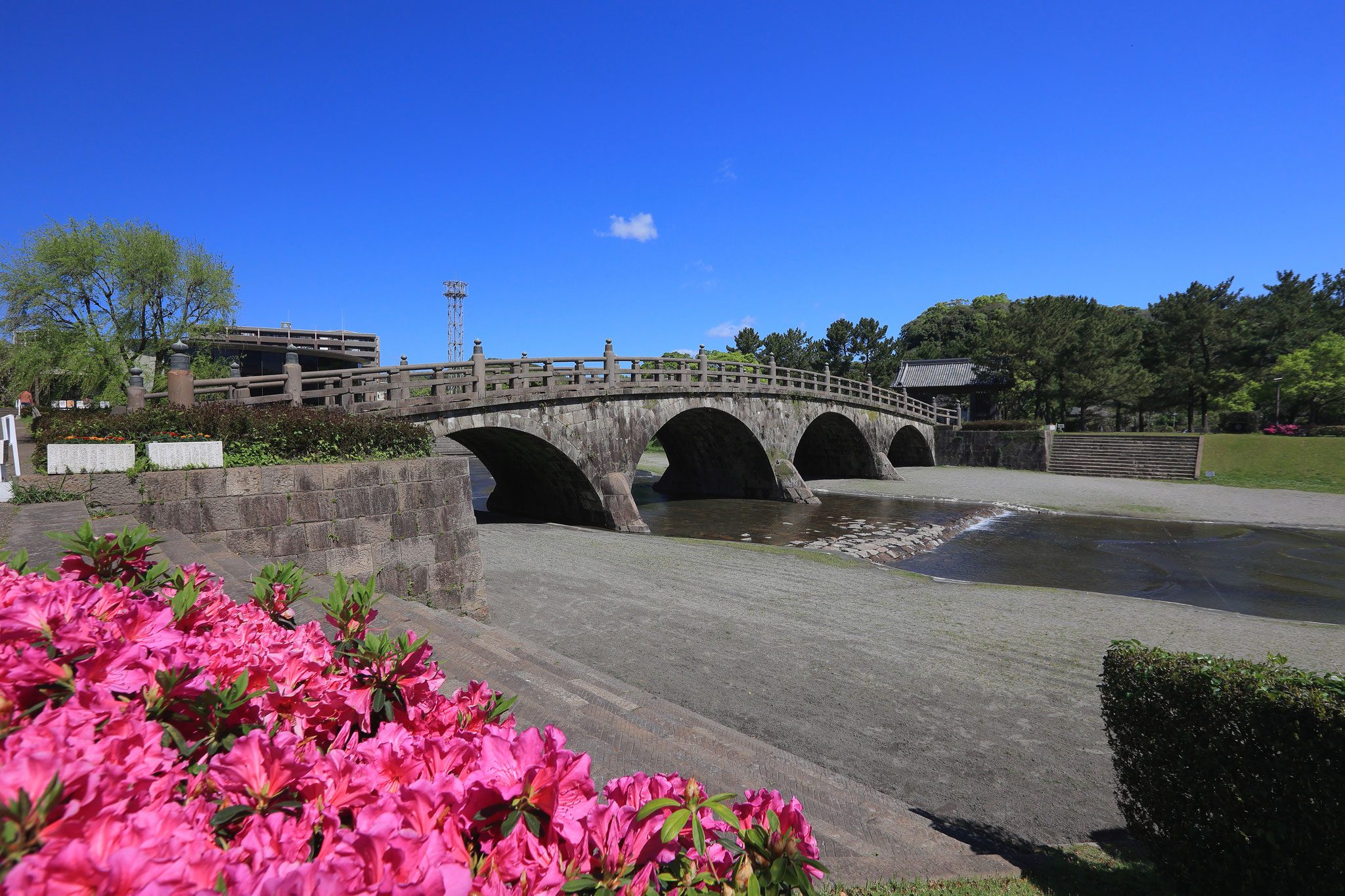 石橋記念公園の春(4月8日 鹿児島市)