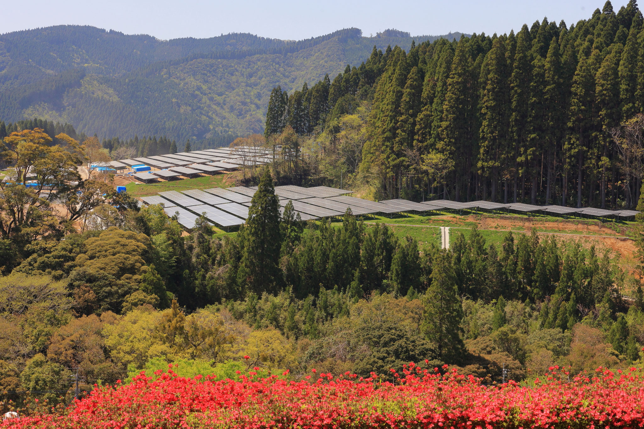 変わる山の景色(4月9日 宮崎県)
