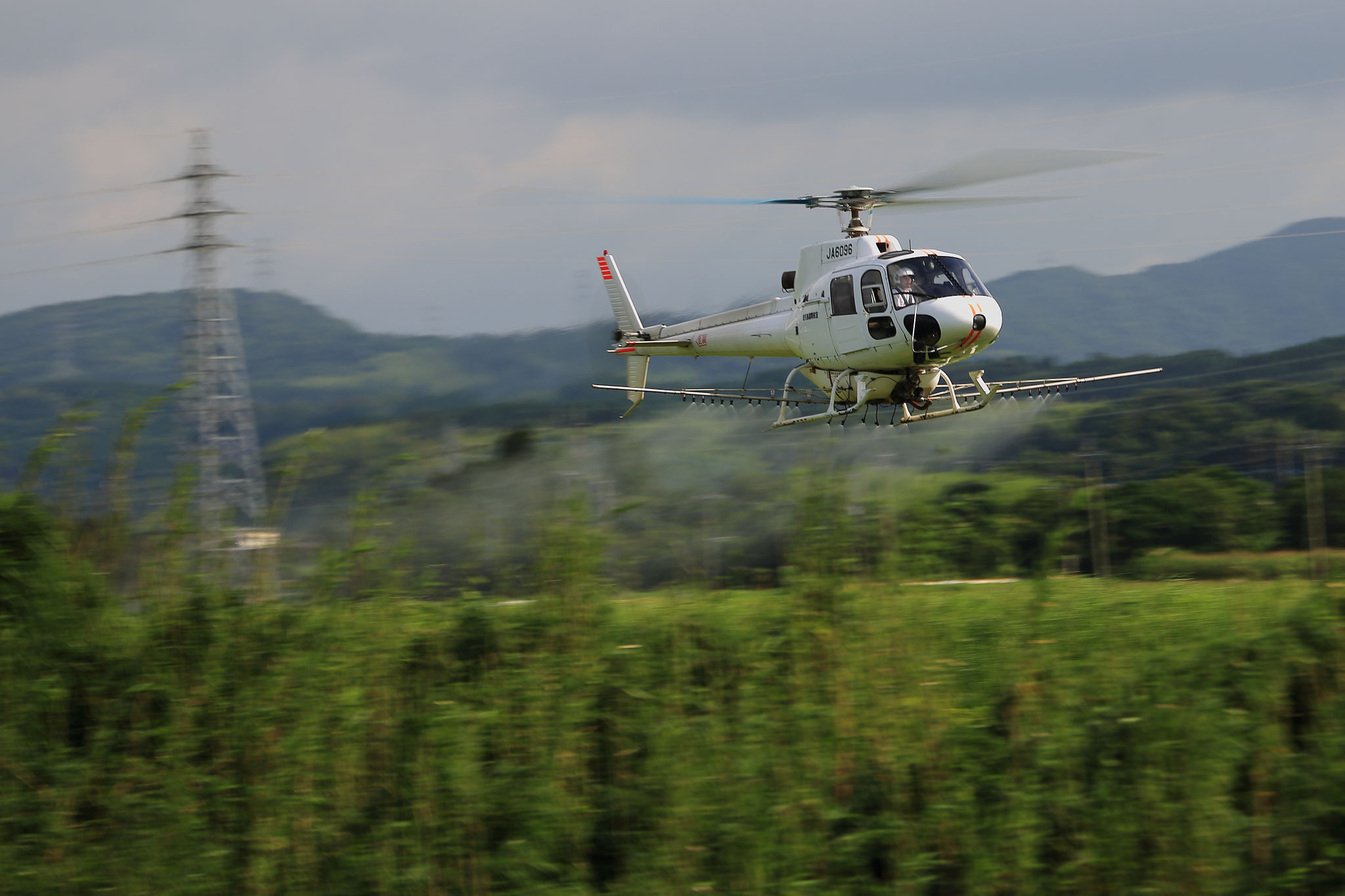 水田を飛ぶ航空防除のヘリコプター(7/14 串良町)