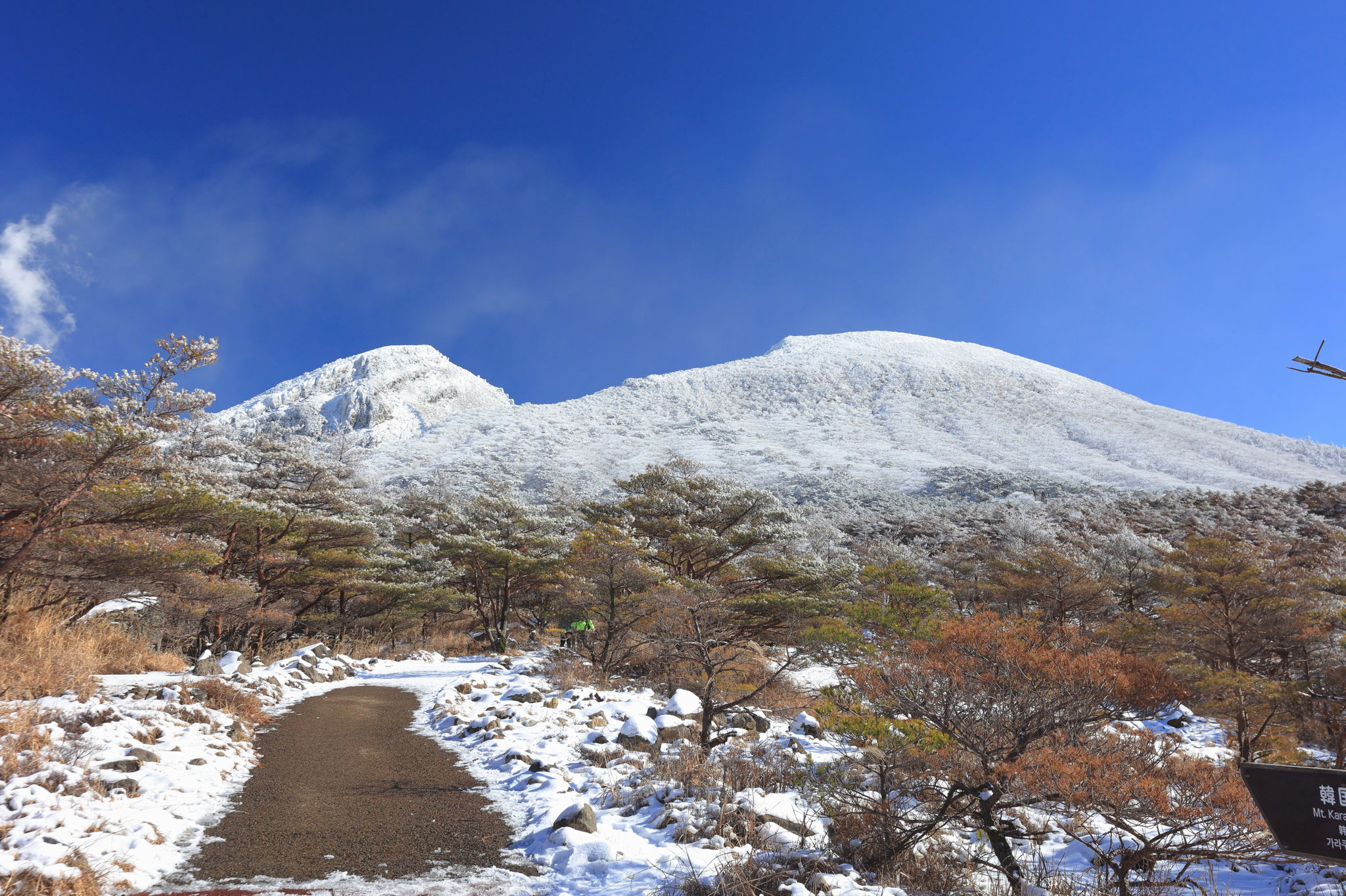 下から見る雪化粧の韓国岳(12月23日 えびの高原)